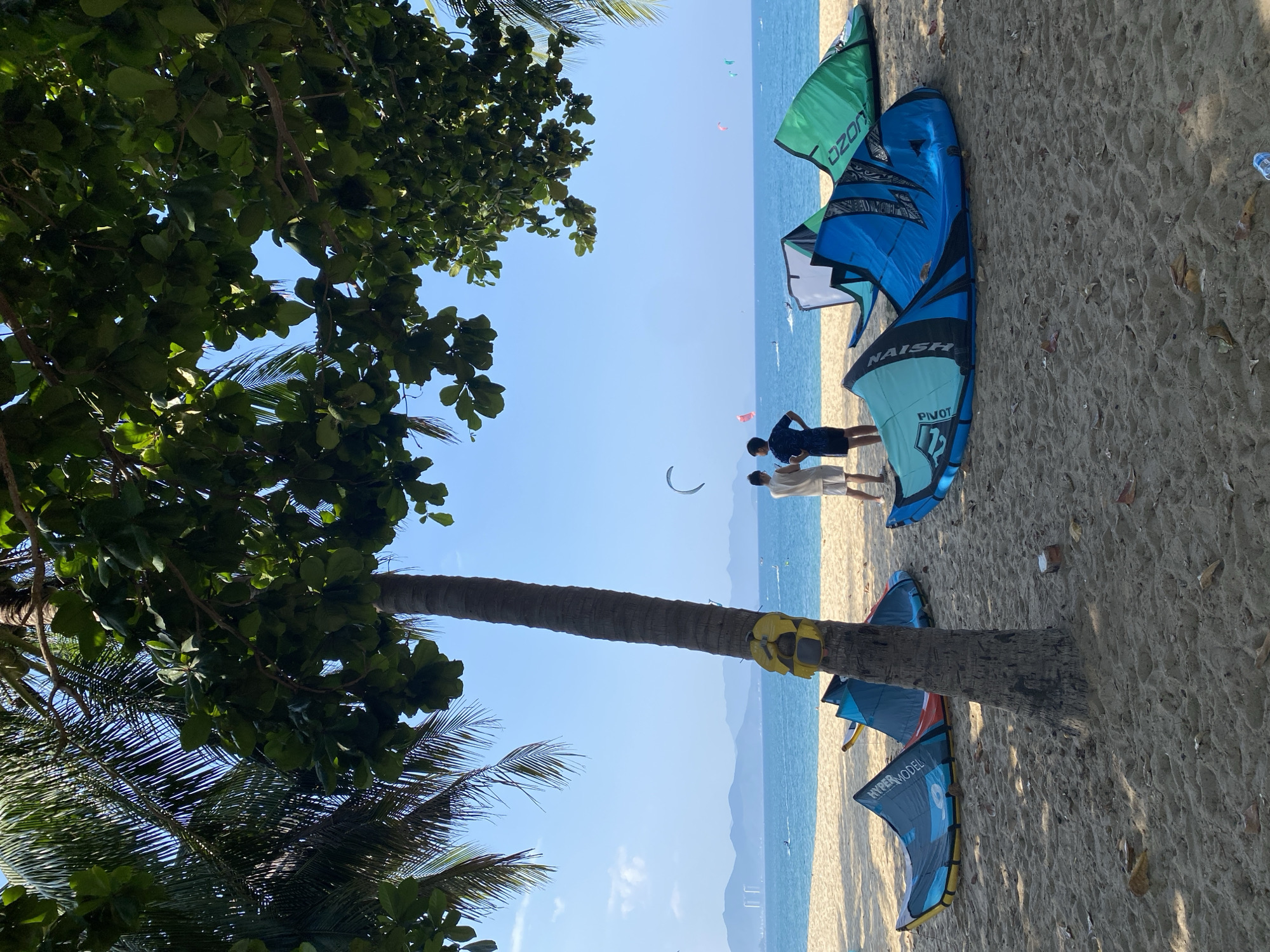 On a bright, sunny day in Nha Trang, Vietnam, the sandy beach is dotted with colorful kiteboarding kites laid out on the shore, awaiting the wind. A prominent palm tree stands in the foreground, its trunk wrapped with a yellow marker. To the left of the palm tree, a blue and black kite with "HYPER MODEL" printed on it is visible. To the right, several other kites are spread across the sand, including a large green kite with "OZON" written on it, and a blue kite with "NAISH PIVOT" on it. Two young men stand near the kites, looking out towards the ocean. In the distance, the calm, blue sea stretches towards a hazy horizon, with a few kiteboarders visible on the water. Mountains form a backdrop to the city skyline, suggesting the location is a popular coastal area within Nha Trang.