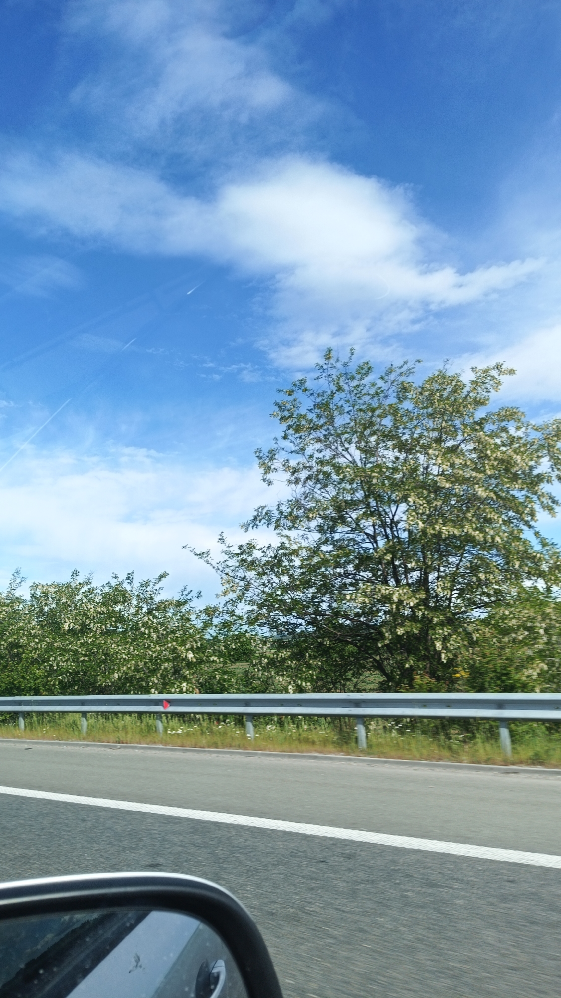 The image shows a view from inside a moving vehicle, likely a car, on a highway. The sky is blue with scattered white clouds and contrails. Adjacent to the road is a metal guardrail. Beyond the guardrail, there is vegetation, including trees with white blossoms. The side mirror of the vehicle is visible in the foreground. The location, Yazdach, Bulgaria, is not discernible from the image alone.