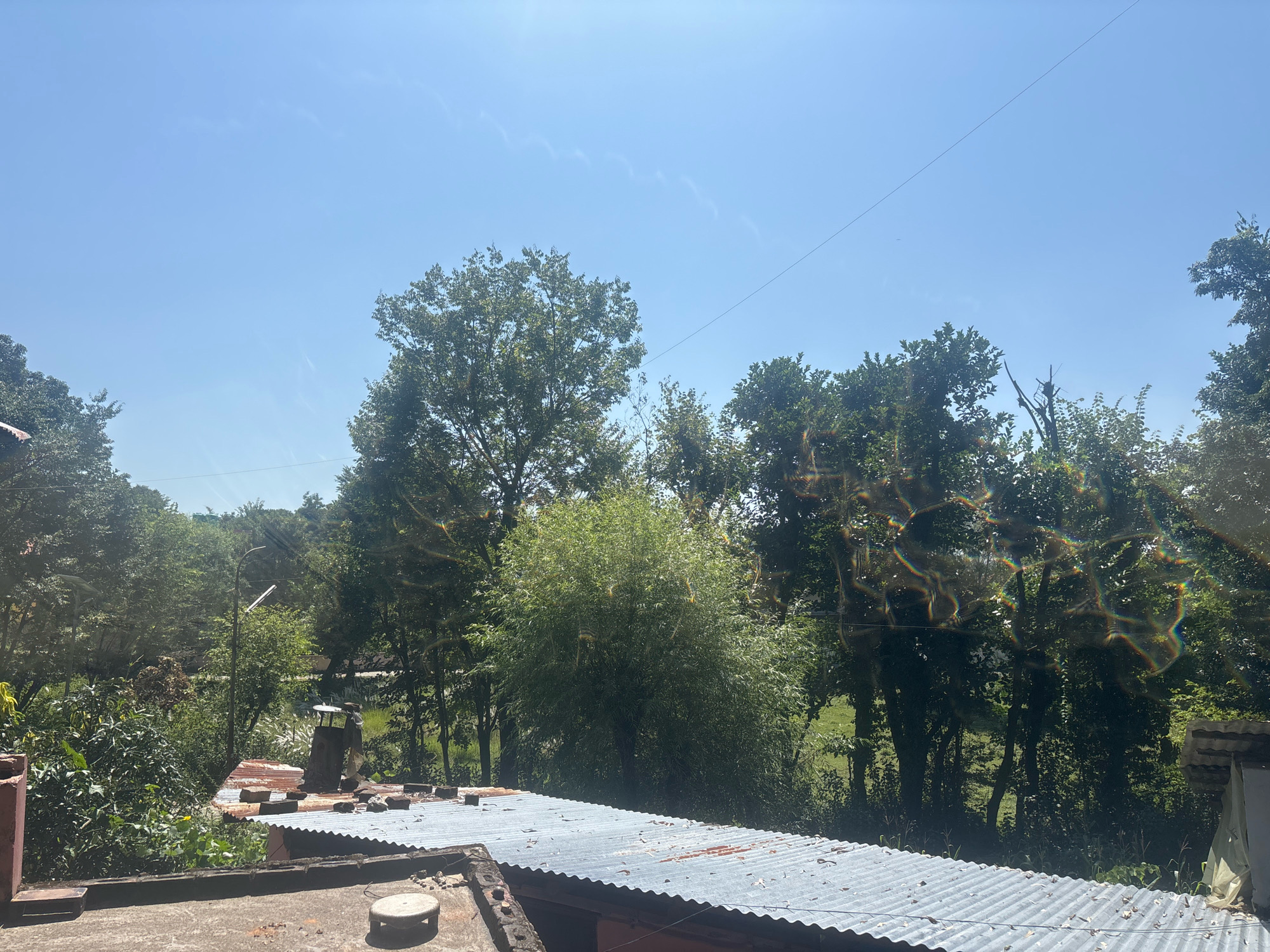 The image depicts a view from a rooftop in Palampur, India, looking out over a lush, green landscape under a clear blue sky. In the foreground, a corrugated metal roof is visible, with some scattered debris and what appears to be a chimney or ventilation pipe. Beyond the rooftop, dense foliage of various trees and bushes dominates the scene, with a bright, sunny ambiance. The sky is a vibrant blue with a few wispy clouds and a thin wire running across it. The overall impression is one of a natural, somewhat rustic setting within a city.