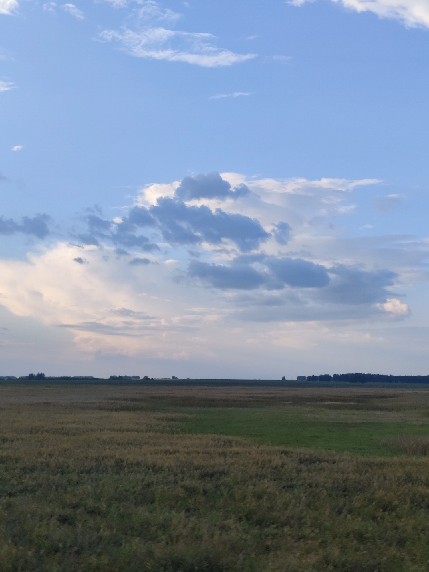 A wide-angle, vertical, eye-level shot depicts a rural landscape under a partly cloudy sky. The foreground is dominated by a field of tall, dry grass, with patches of green grass interspersed throughout. In the distance, a flat horizon is visible, marked by a line of dark trees and some buildings, suggesting a settlement. The sky above is a light blue, populated by scattered clouds of varying sizes and shades, ranging from bright white to dark gray. The lighting suggests it is either early morning or late afternoon. The scene appears to be set in the Petrov rural district of Kazakhstan.