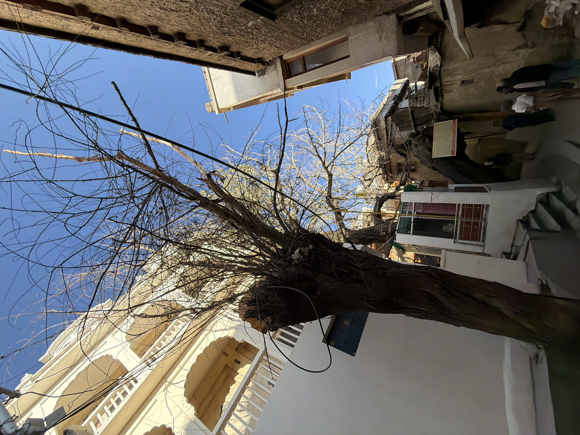 In Leh, India, a stark, leafless tree with a gnarled trunk dominates the foreground of this image, its bare branches reaching towards a clear blue sky. The tree is situated in a narrow alleyway lined with buildings of varying architectural styles and materials. To the left, a building with cream-colored walls and ornate balconies features arched windows and decorative railings. On the right, a rough, textured building with a darker facade rises, its upper floors partially obscured.
The alley itself is paved and appears to be a walkway, with several individuals visible in the background. Three people are in the mid-ground, their faces turned away from the camera, suggesting they are walking or pausing in the alley. One person is wearing a white shirt and dark pants, another a dark jacket and lighter pants, and a third a dark blue garment. Further back, another figure is partially visible.
The scene is illuminated by natural daylight, casting shadows and highlighting the textures of the buildings and the tree. Power lines are strung across the upper portion of the image, crisscrossing the branches of the tree and overhead. A faded sign with text in a non-English script is affixed to one of the buildings in the alley. The overall impression is one of a vibrant, lived-in urban environment with elements of both traditional and modern construction.