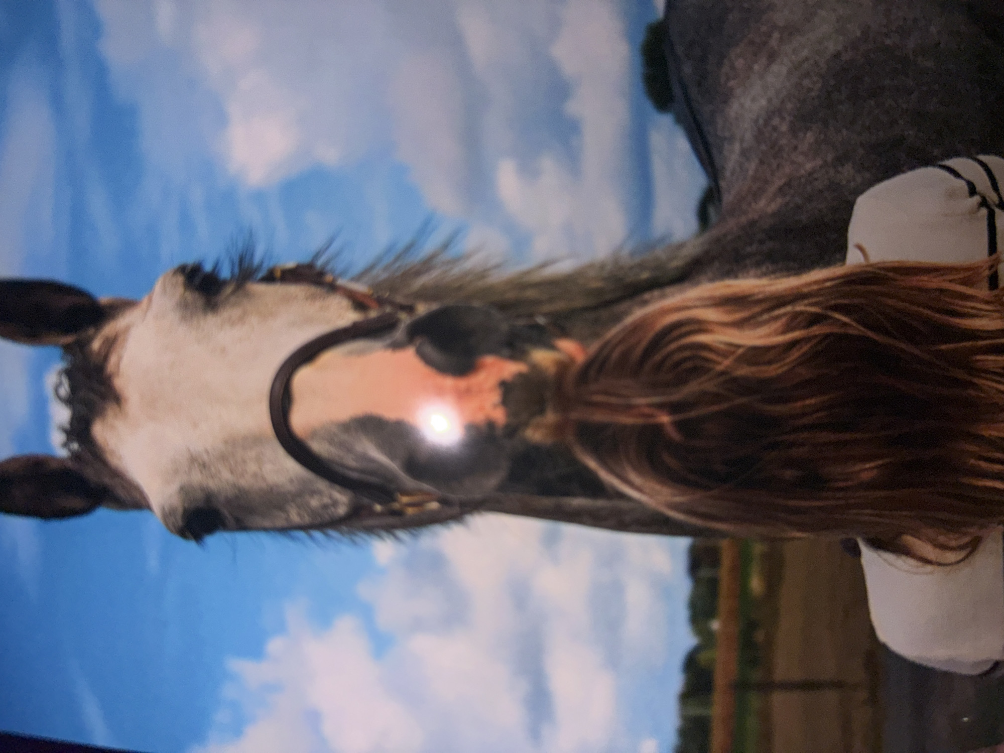 A portrait-oriented photograph captures a close-up view of a dappled grey horse and a person, set against a bright blue sky. The horse's head dominates the left side of the frame, featuring a white blaze on its nose and face, and wearing a brown bridle. A pair of dark-rimmed goggles is visible on the horse's head, resting above its eyes, with a strong, circular reflection of sunlight on one lens. To the right and slightly behind the horse's head, the back of a person's head and upper right shoulder are visible. The person has long, reddish-brown hair and wears a white garment with thin dark stripes on the shoulder. The background is a clear blue sky with scattered white clouds, suggesting an outdoor, sunny day. A hint of green foliage or distant landscape can be seen in the lower right corner, indicative of a rural or open setting consistent with areas around Estaimpuis, Belgium. There is no visible text in the image.