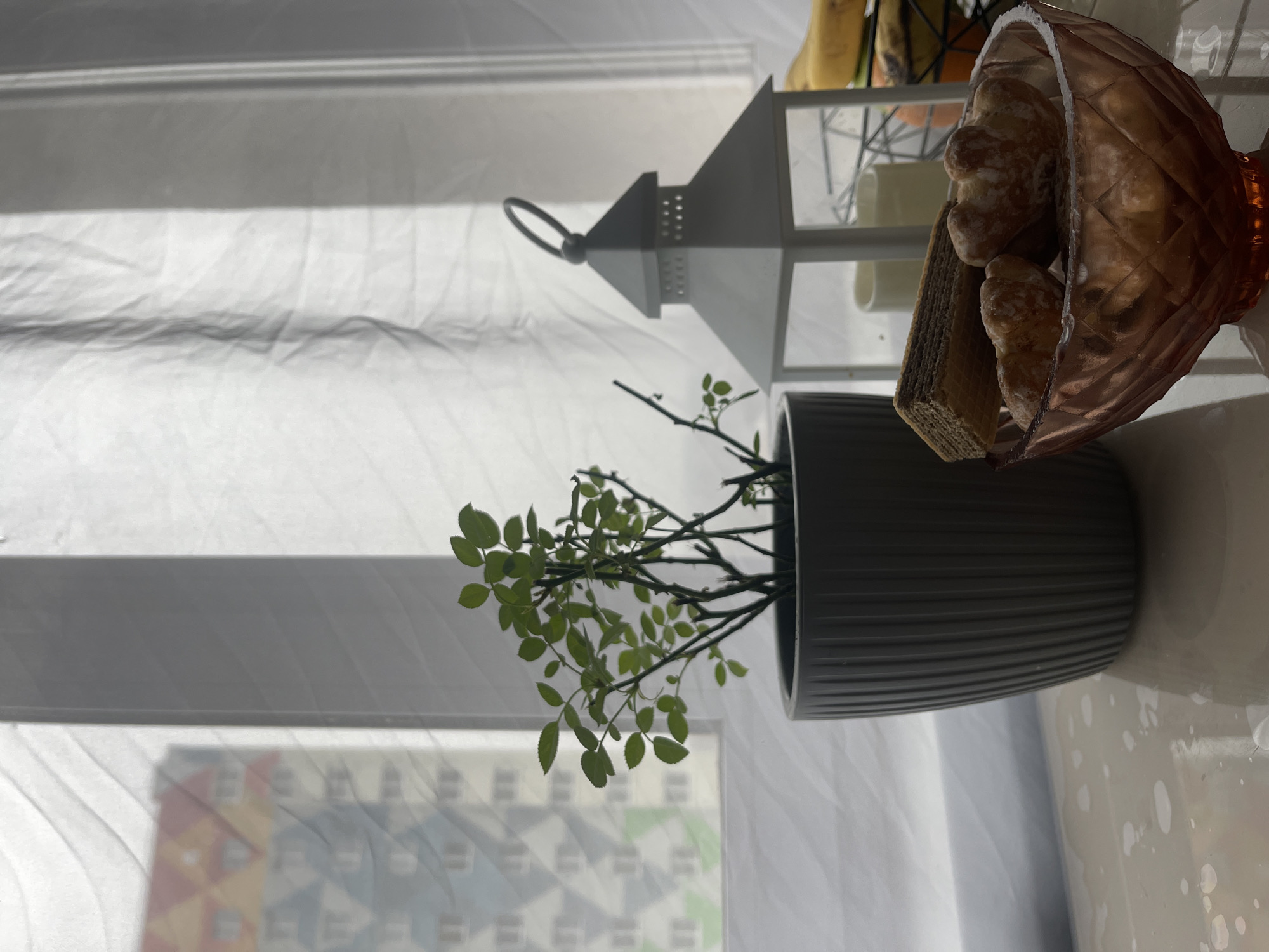 The image presents a still-life arrangement placed on a white surface, possibly a table, in front of a window. The scene is brightly lit, suggesting daytime. A white sheer curtain hangs behind the objects.
From left to right, the following objects are discernible: A potted plant with small, green leaves and thin, bare branches. Next to it, a white decorative lantern with a handle and a peaked roof is positioned. Beside the lantern, a wire basket containing yellow fruits, possibly bananas, is partly visible. Adjacent to the wire basket, a light brown geometric-shaped bowl is placed, filled with pastries and a rectangular waffle.
The background visible through the window includes indistinct geometric patterns in muted colors.
There is no indication of the city of Izhevsk, Russia, or any people, actions, or interactions in the scene.