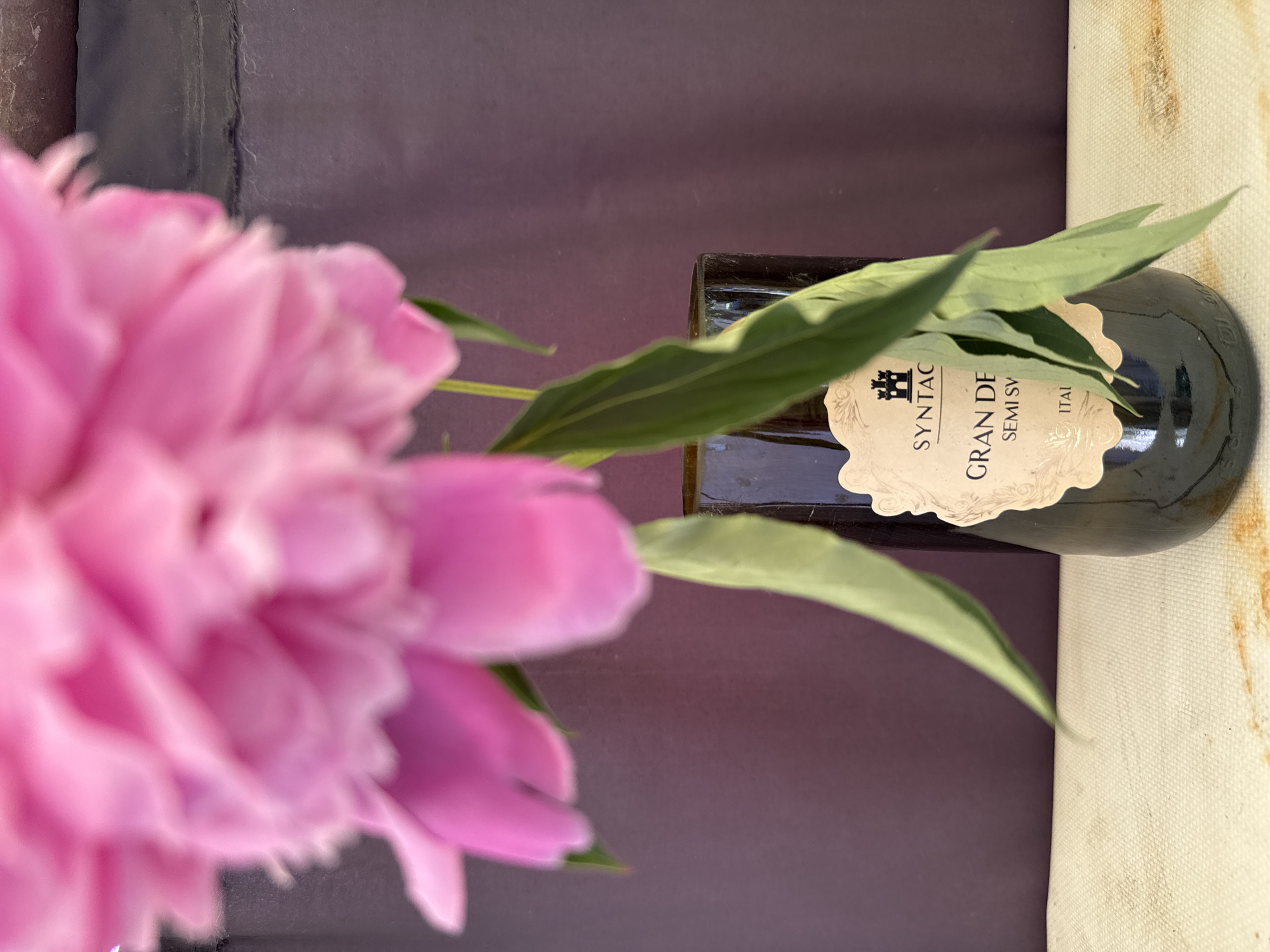 A close-up vertical shot displays a vibrant, out-of-focus pink peony occupying the upper portion of the frame, with its numerous ruffled petals obscuring much of the background. Green stems and leaves descend from the flower, partially draping over a dark-colored glass bottle positioned centrally in the lower half of the image. The bottle features a light-colored, ornate label with a black castle silhouette at the top, followed by the text "SYNTAC," "GRAN DE," "SEMI SV," and partially visible "ITAL." The background consists of a solid, dark reddish-purple wall or surface. The foreground is a light-colored, textured surface, possibly fabric, exhibiting several reddish-brown stains, predominantly on the right side. The overall depth of field is shallow, with the flower being the most blurred element.