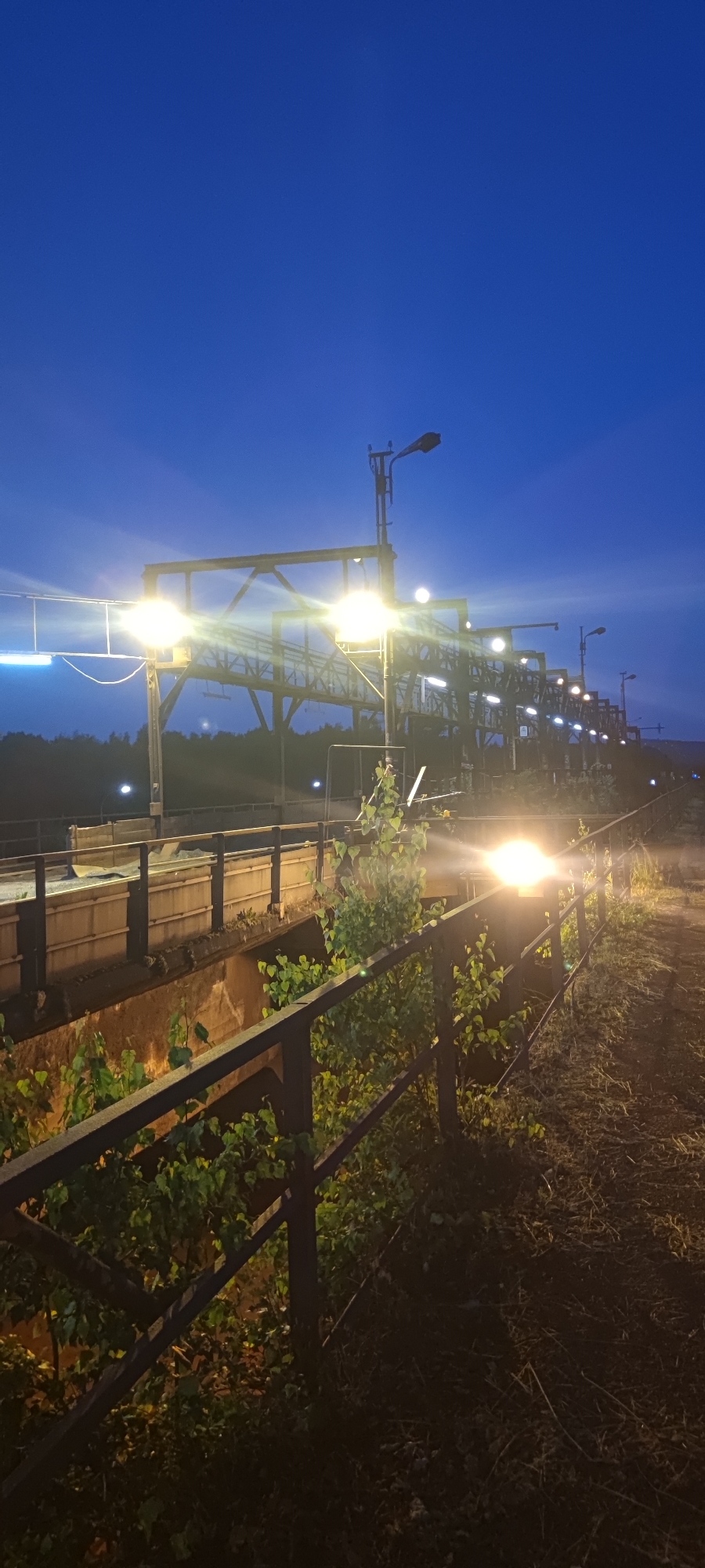 The image depicts an industrial area at dusk or night. The sky is a deep blue, transitioning to a lighter shade near the horizon. Several tall, illuminated structures with metal frameworks and lights are visible. These appear to be part of an elevated walkway or conveyor system. In the foreground, a dark metal railing runs along a path. Green foliage is growing in and around the railing, suggesting the presence of vegetation in the immediate vicinity. The ground appears to be unpaved, covered in dirt and debris, with some scattered dry grass or straw. The overall impression is one of an operational, possibly mining or industrial processing, site illuminated by artificial lights in low-light conditions. This location is identified as being in Salzgitter, Germany.