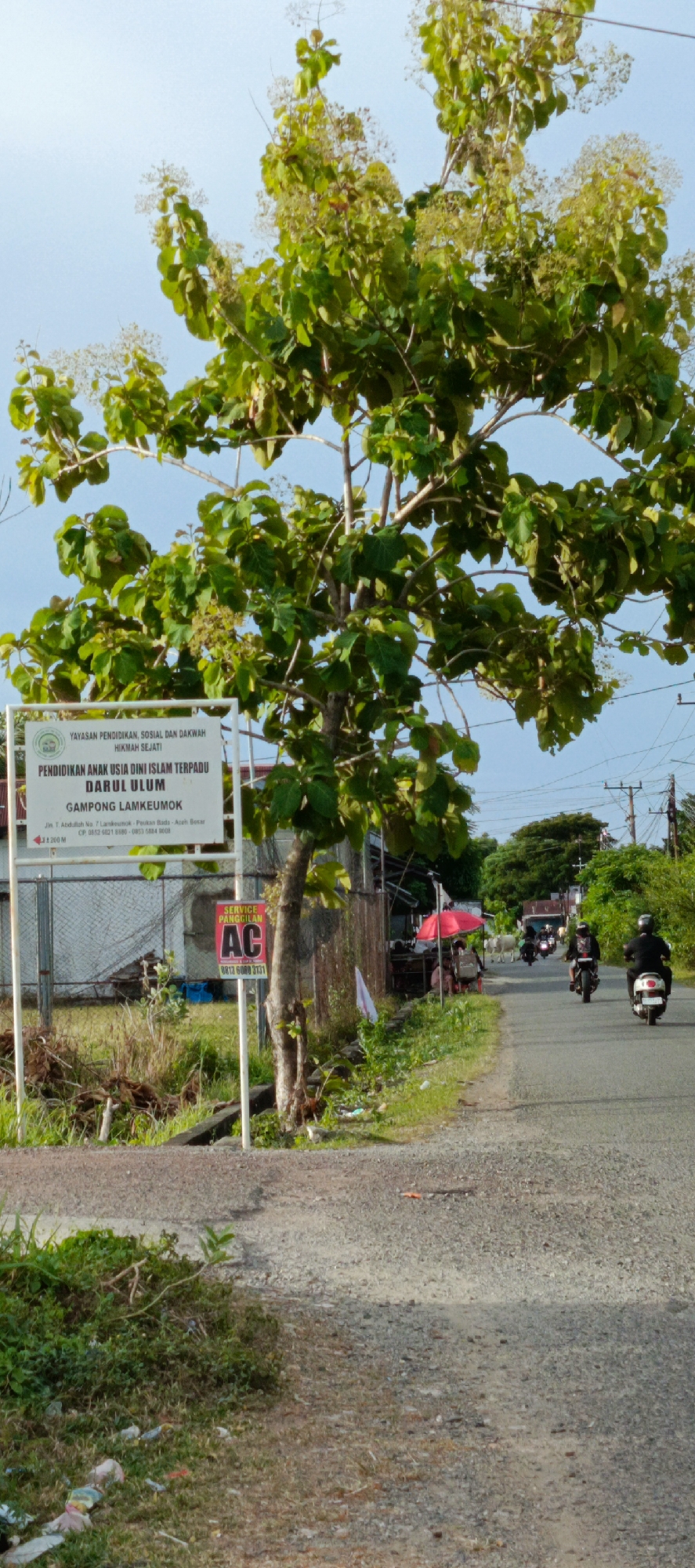The image captures a scene on a roadside in Gampong Lamkeumok, Aceh Besar, Indonesia. The foreground shows a gravelly road and grassy verge with scattered litter. A tall tree with lush green foliage dominates the left side of the frame, its branches extending towards the sky. To the left of the tree is a white sign with Indonesian text detailing an educational institution: "YAYASAN PENDIDIKAN, SOSIAL DAN DAKWAH HIKMAH SEJATI PENDIDIKAN ANAK USIA DINI ISLAM TERPADU DARUL ULUM GAMPONG LAMKEUMOK". Below this, there is a smaller sign with "SERVICE PANGGILAN AC" and a phone number. A barbed wire fence runs behind the sign. On the road, several motorcycles are visible, some carrying riders. In the distance, there are more trees and utility poles. A red umbrella is set up by a roadside stall, with a few people gathered. The sky is a pale blue.
