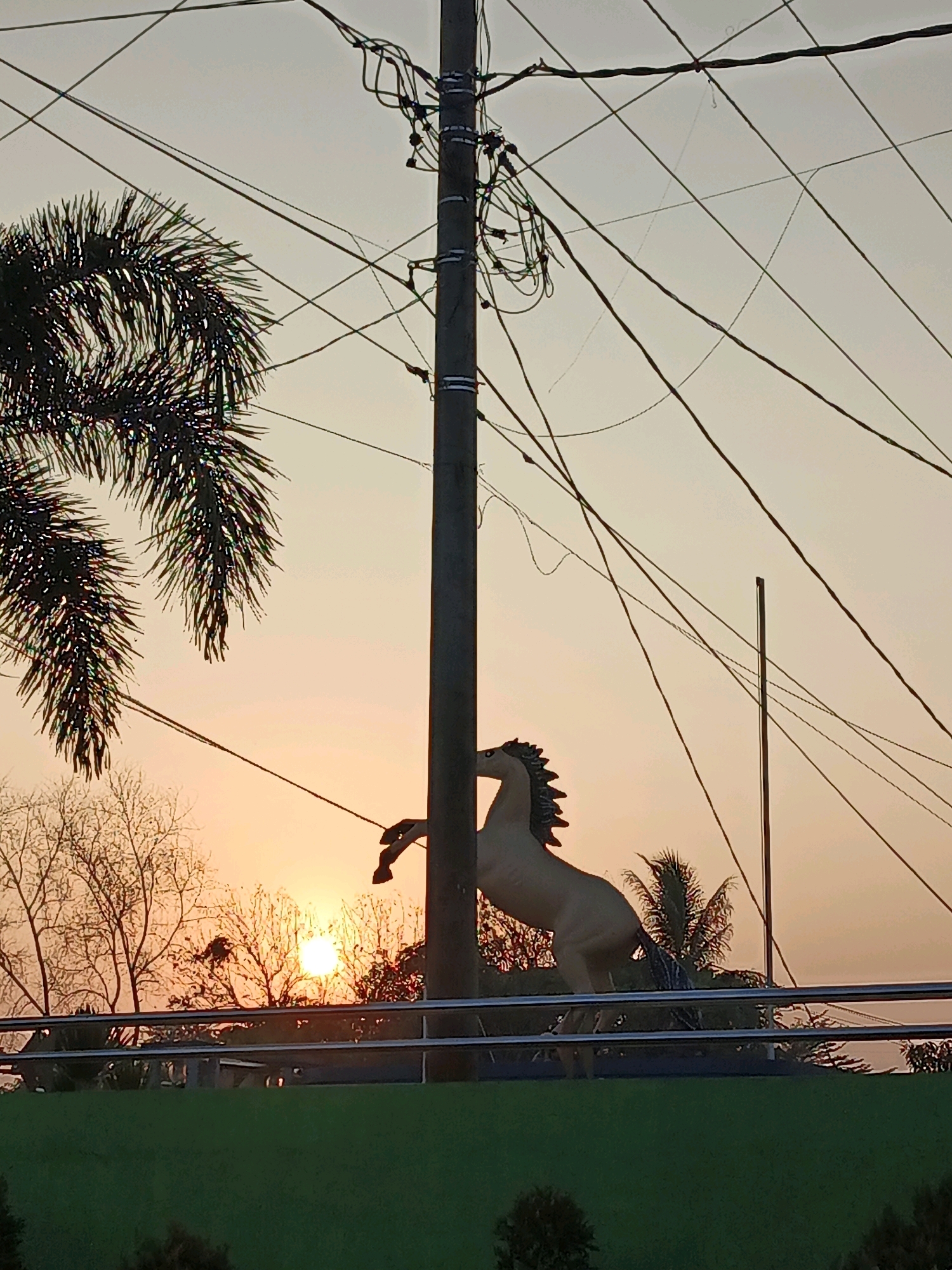 The media file shows a statue of a horse silhouetted against a sunset. The horse statue is light-colored and appears to be rearing up, with its front legs raised. It is positioned in front of a utility pole with a complex network of wires crisscrossing the sky. To the left of the horse, a palm frond is visible, also silhouetted against the sky. The sun is setting, casting a warm orange glow across the sky. Bare tree branches are seen in the foreground, some with small, dark masses that could be leaves or birds' nests. A metal railing runs horizontally across the mid-ground. Below the railing is a green, grassy area. The overall scene suggests an outdoor setting, possibly in a park or public space, at dusk. The time of day is clearly sunset, and the weather appears to be clear, allowing for an unobstructed view of the sun. The location is identified as Krimun, Indonesia. No text is visible in the image. The image evokes a sense of natural beauty and perhaps tranquility due to the sunset and the stillness of the statue.