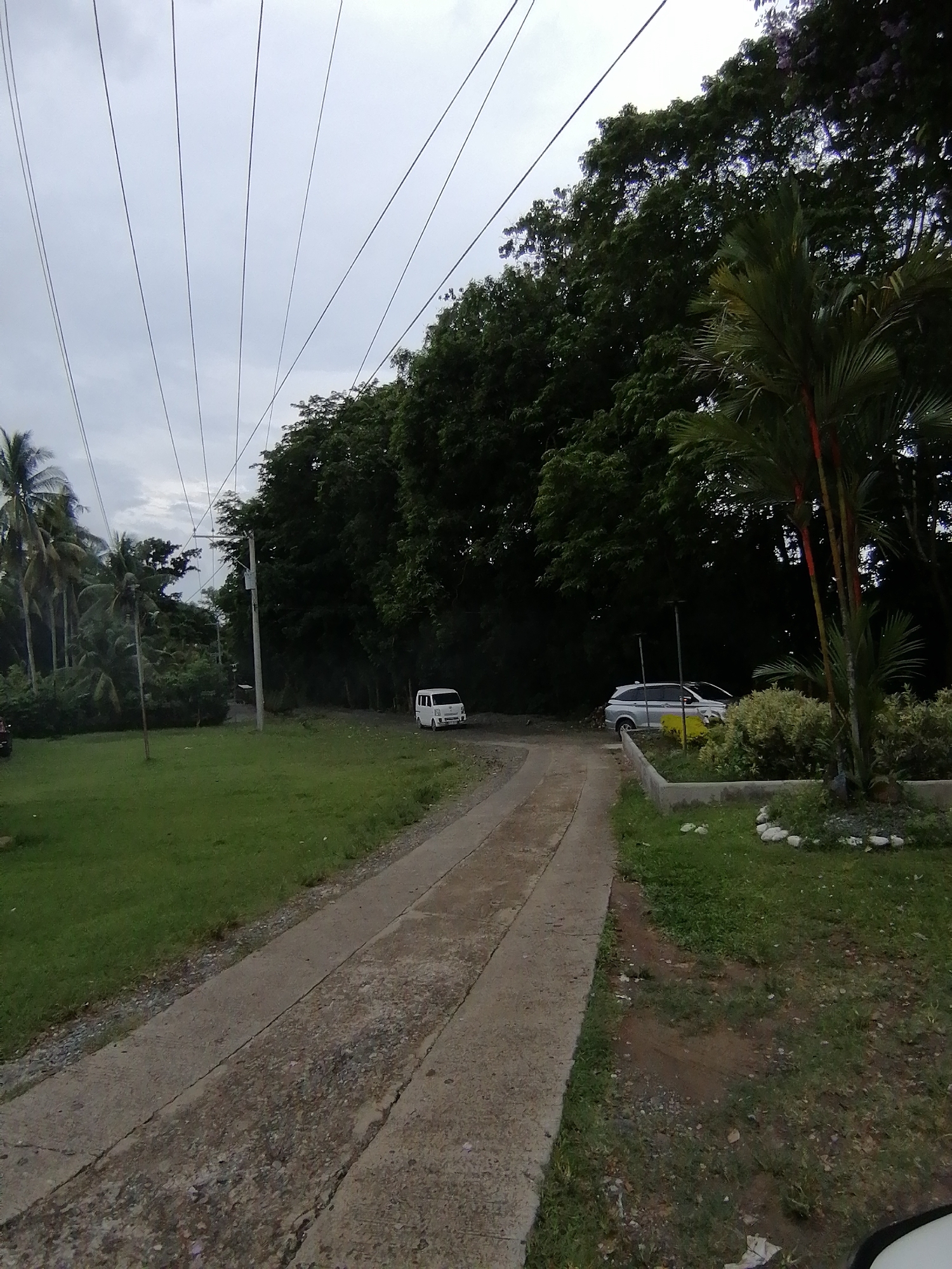 A static outdoor scene in what appears to be a tropical or semi-tropical location, consistent with Davao City, Philippines. A concrete driveway or path, worn and with visible cracks, extends from the foreground into the midground, subtly curving to the left. Lush green grass patches flank both sides of the driveway.
On the left side of the scene, further down the driveway, a white mini-van or small delivery van is parked. Behind it, a cluster of tall palm trees and other dense green foliage dominates the background. A utility pole with multiple overhead power lines is visible near the white van, stretching across the cloudy, overcast sky.
On the right side, closer to the foreground, a silver SUV (possibly a Toyota Avanza) is partially visible, parked behind a low concrete garden bed. This garden bed contains various small green bushes and is decorated with white stones. Tall, dark green trees form a dense, shadowy backdrop on the right, with vibrant green palm fronds extending into the frame from the right edge. The sky is uniformly grey and overcast, suggesting a cloudy day with diffuse lighting. No people are visible, and there is no discernible activity taking place. The scene conveys a quiet, natural environment with some human infrastructure. No visible text is present.