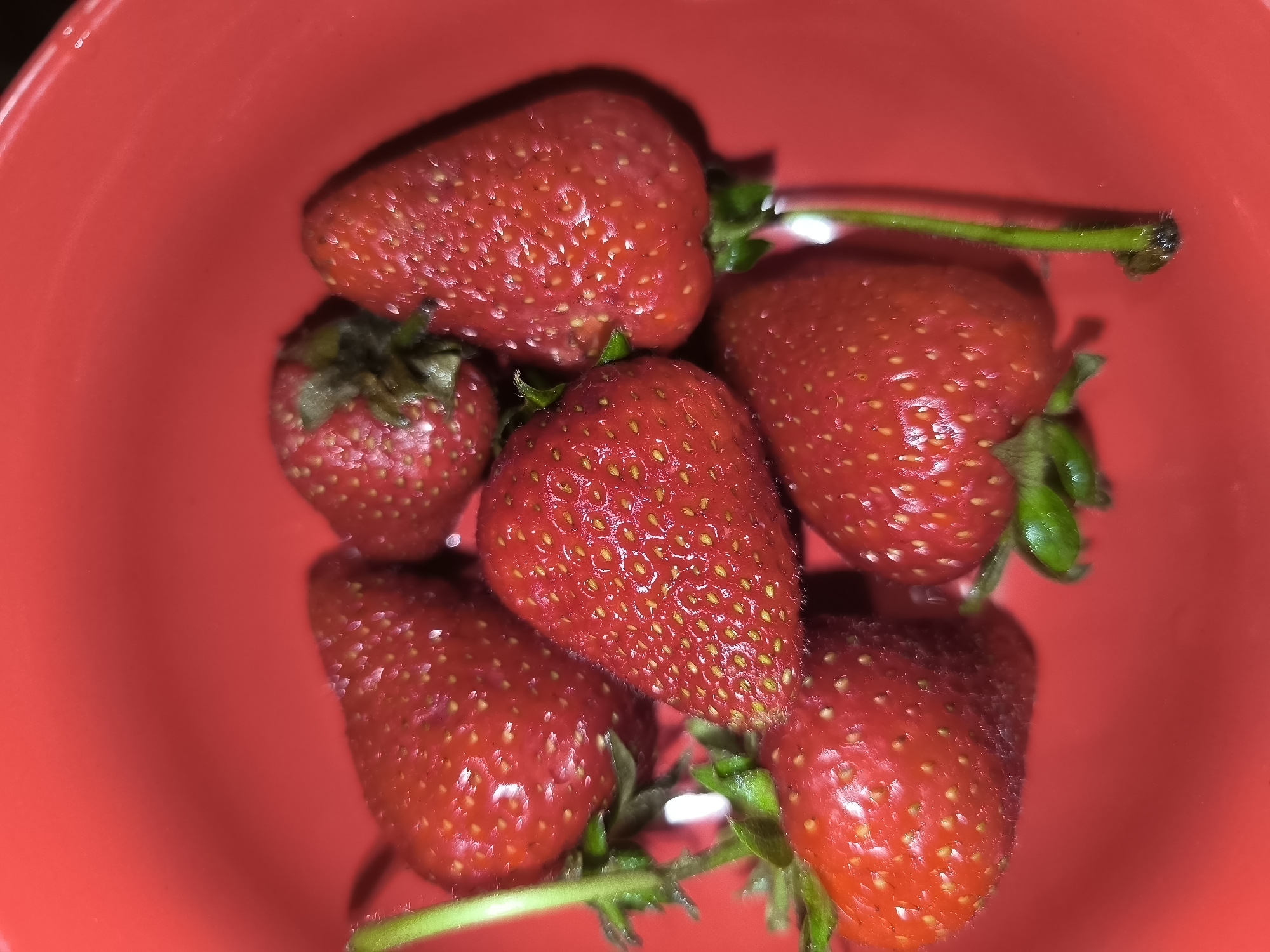 A close-up, high-angle shot shows a collection of ripe strawberries in a red bowl. The strawberries are vibrant red with visible seeds and green stems. Some have dew droplets on their surface, adding a glistening effect. The bowl's interior is a solid, bright red, and the lighting creates reflections on the strawberries and the bowl. There are no people present in the image. The scene appears to be a still life of fresh fruit, possibly in a kitchen or dining area. The location in Horishni Plavni, Ukraine, is not visually discernible from the image content.