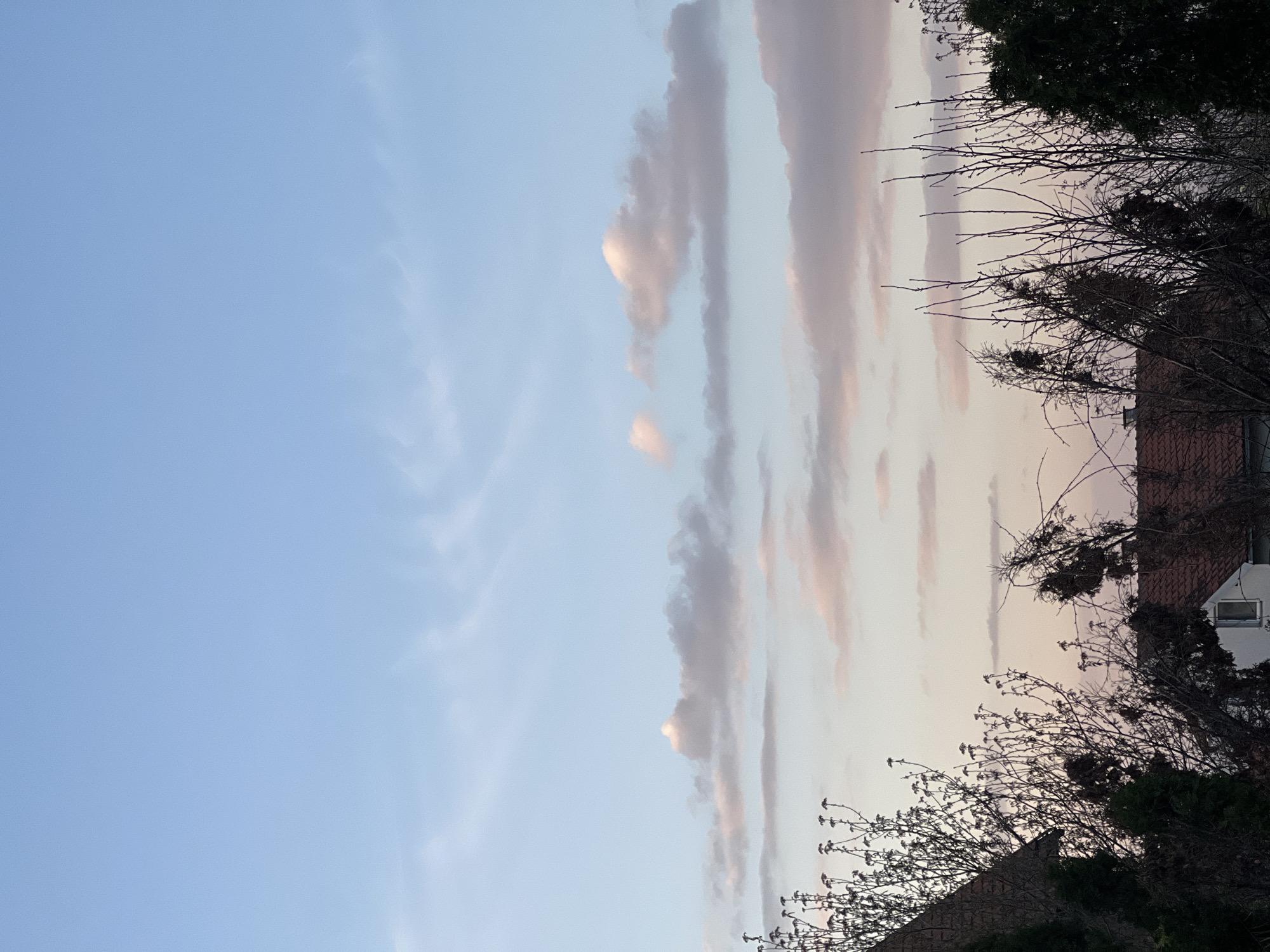 The image shows a sky scene in Palilula Urban Municipality, Serbia, presumably near or within a residential area. The sky is predominantly light blue with streaks of thin, wispy clouds. Vertically arranged, slightly pink-tinged clouds form elongated shapes towards the right side of the frame. At the bottom right, silhouetted tree branches with bare limbs and some evergreen foliage are visible, obscuring part of the view. The rooftops and a window of nearby houses are also partially visible through the branches. The scene is likely captured during dawn or dusk, suggested by the soft light and color tones. No people are visible.