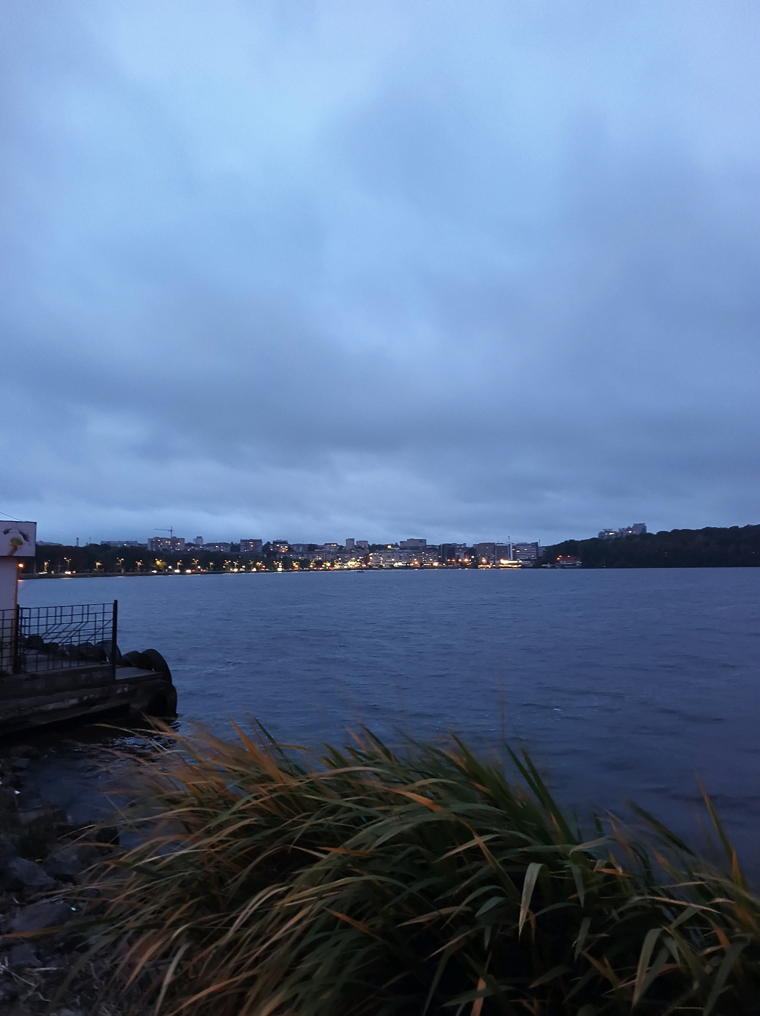 The image depicts a twilight scene of a city skyline across a body of water, likely Ternopil Lake, in Ternopil, Ukraine. The sky is overcast and a deep blue-gray, suggesting dusk or early evening. In the foreground, tall, green and brown grasses with some yellowing are blurred due to wind or movement, swaying in front of the water. The water itself is dark and appears choppy with subtle ripples.
Along the far shore, a city skyline is visible, characterized by a line of buildings illuminated by numerous lights, indicating urban activity. Some of these buildings appear to be taller structures, possibly residential or commercial. Streetlights line the waterfront, creating a warm glow that contrasts with the cool tones of the sky and water. The overall impression is one of a peaceful, yet active, urban lakeside at the end of the day. No people are visible in the frame, and the scene is devoid of any specific actions or interactions.