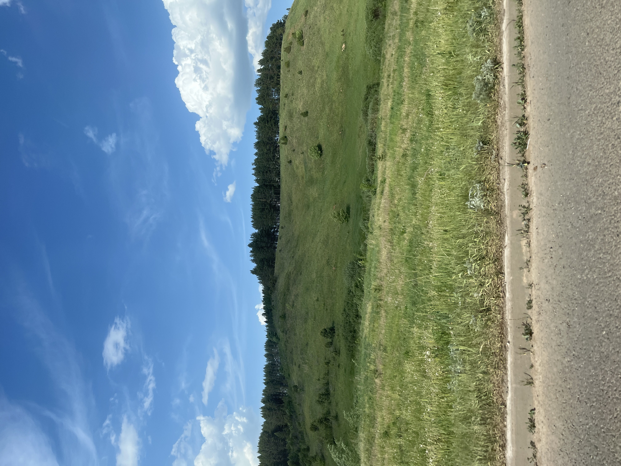 The image depicts a rural scene, likely in the vicinity of Соколовка, Russia, characterized by a grassy hillside fringed with a line of trees. The left of the image features a blue sky with scattered white clouds. Adjacent to the hillside, on the right of the image, is a paved road. No people, actions, or interactions are visible in the scene.