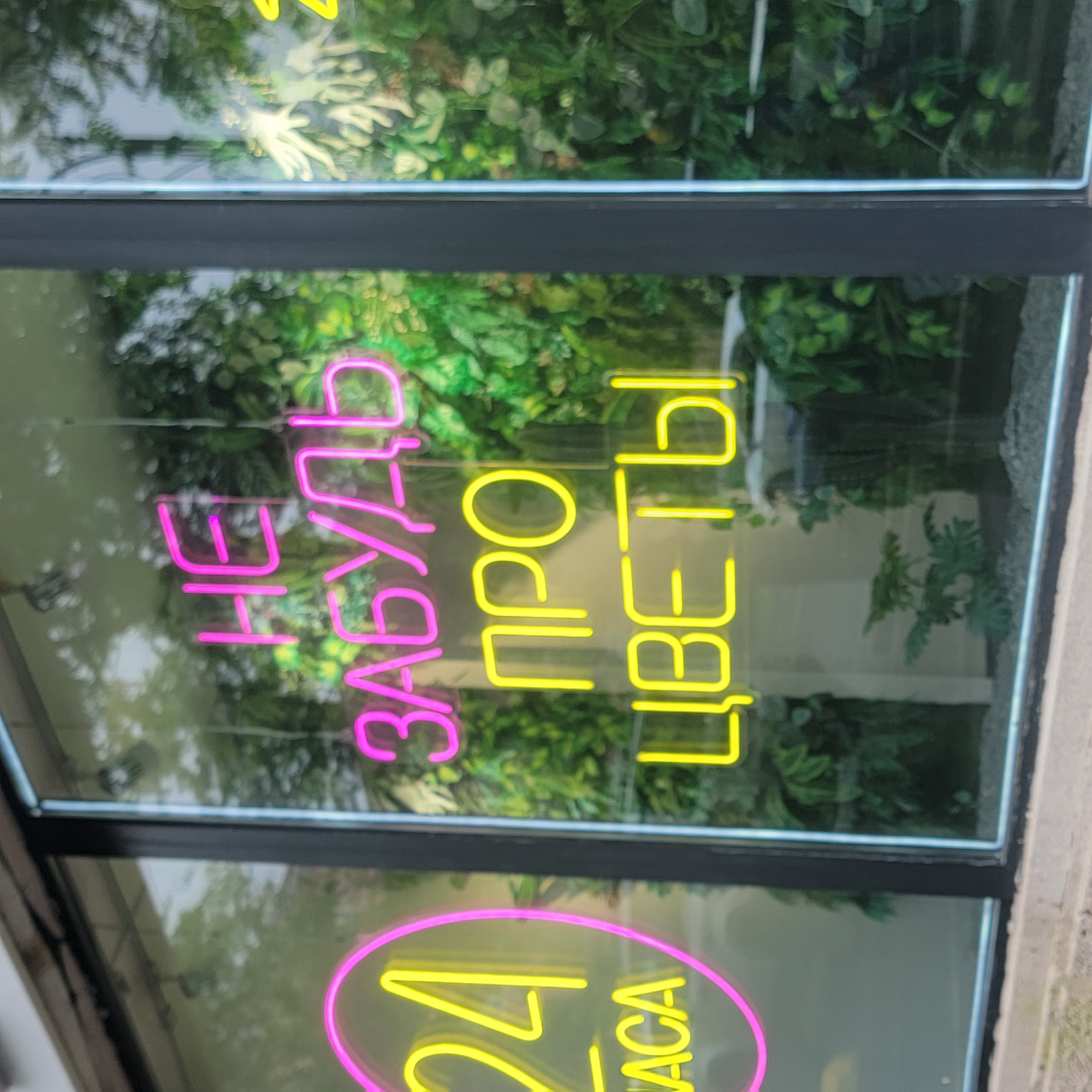 This is a photograph of a storefront window in Vladivostok, Russia. The window is reflecting greenery from an unseen source, possibly artificial plants or trees. Neon signs are visible through the glass, glowing in bright pink and yellow.
The top neon sign is in pink and appears to be in Cyrillic, with the letters "НЕ ЗАБУДЬ". This translates to "Don't forget". Below this, there is a yellow neon sign that reads "ПРО ЦВЕТЫ". This translates to "For flowers".
In the lower part of the window, another neon sign is visible, this time in a circular shape. It is outlined in pink and contains yellow neon text that reads "24 АСА". This likely signifies "24 hours", a common operating hour indication for businesses.
The lighting suggests it is daytime, but the reflections and neon lights create a somewhat atmospheric and perhaps evening-like feel. The overall scene appears to be a flower shop or a similar business that sells flowers and operates around the clock. The image is taken at a slightly upward angle, focusing on the window display.