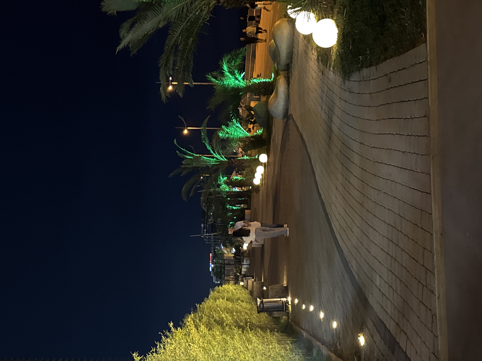 A young couple stands embracing on a paved promenade at night. The promenade is lined with palm trees illuminated by green lights and spherical white lamps. To the left, a dense hedge of light green foliage is also lit, casting a soft glow on the path. Several people are walking in the background, along a raised area beside the promenade, where there are also lights and palm trees. Buildings are visible in the distance. The scene is likely along the Batumi Boulevard, a popular seaside promenade in Batumi, Georgia, known for its illuminated landscaping and recreational spaces.