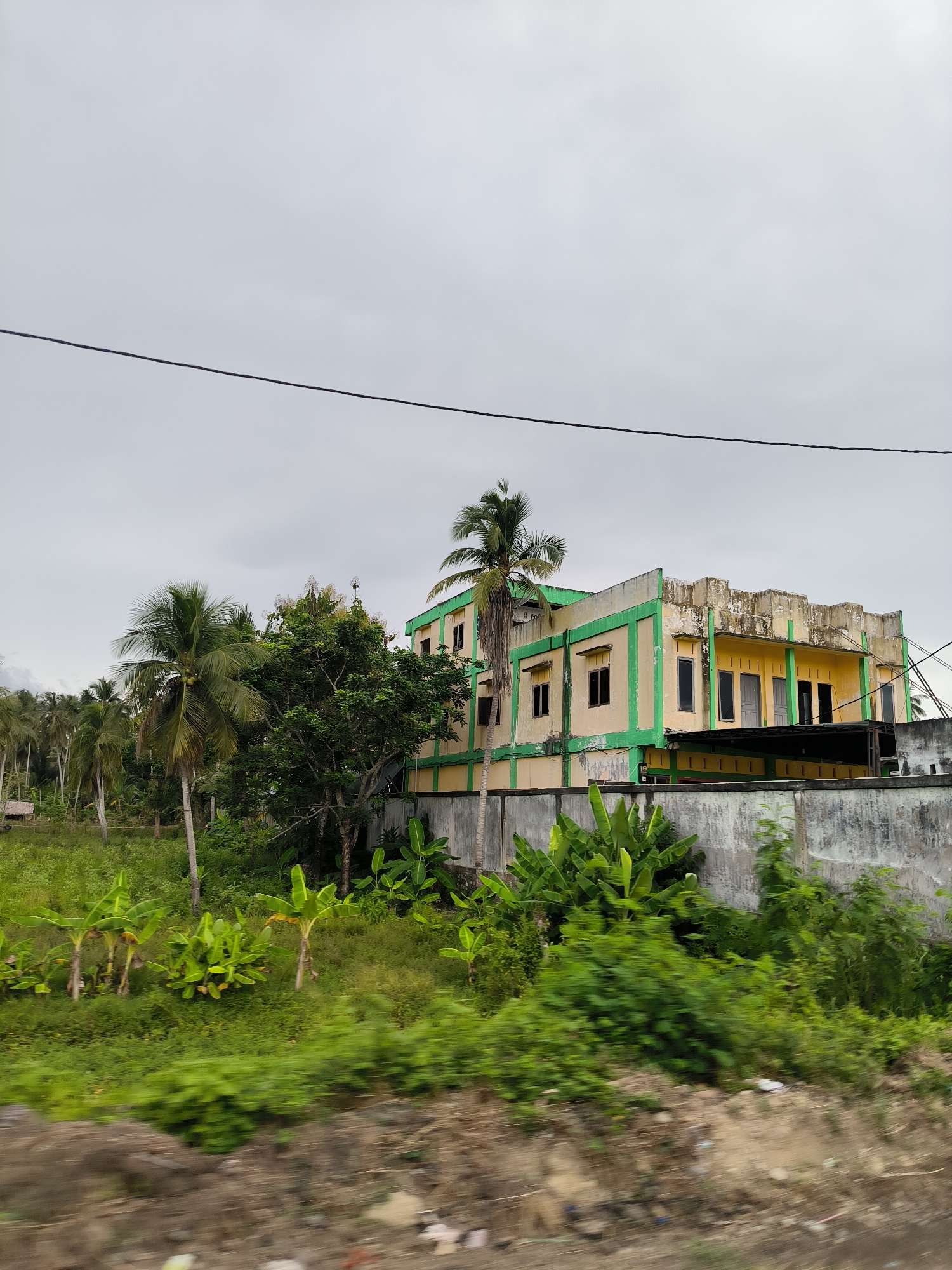 The image captures a rural or semi-rural scene in Capa Paloh, Indonesia, featuring a two-story building surrounded by lush tropical vegetation under an overcast sky. A single black utility wire stretches horizontally across the upper portion of the frame against the uniform light gray sky.
The central subject is a weathered building, likely commercial or residential, painted in a distinctive yellow with bright green trim along its edges and window frames. The paint shows significant signs of peeling and fading. The structure has multiple windows, some open and some closed, and a few doors are visible on its facade. A concrete wall, also aged and textured, runs in front of the building, separating it from the immediate foreground.
Abundant tropical plant life characterizes the setting. Tall palm trees, appearing to be coconut palms, are scattered throughout the scene, with a dense cluster extending into the background on the left side. Smaller banana plants with large green leaves are prominent in the mid-ground, alongside various other green shrubs and trees that fill the spaces. The foreground consists of dense green ground cover and areas of disturbed, reddish-brown earth, suggesting a roadside or undeveloped patch of land.
The time of day appears to be during daylight hours but under heavily clouded conditions, as indicated by the uniformly gray sky, which diffuses the light and creates soft shadows. There is no visible human activity or discernible text in the image. The scene conveys a tranquil, rustic tropical environment.
