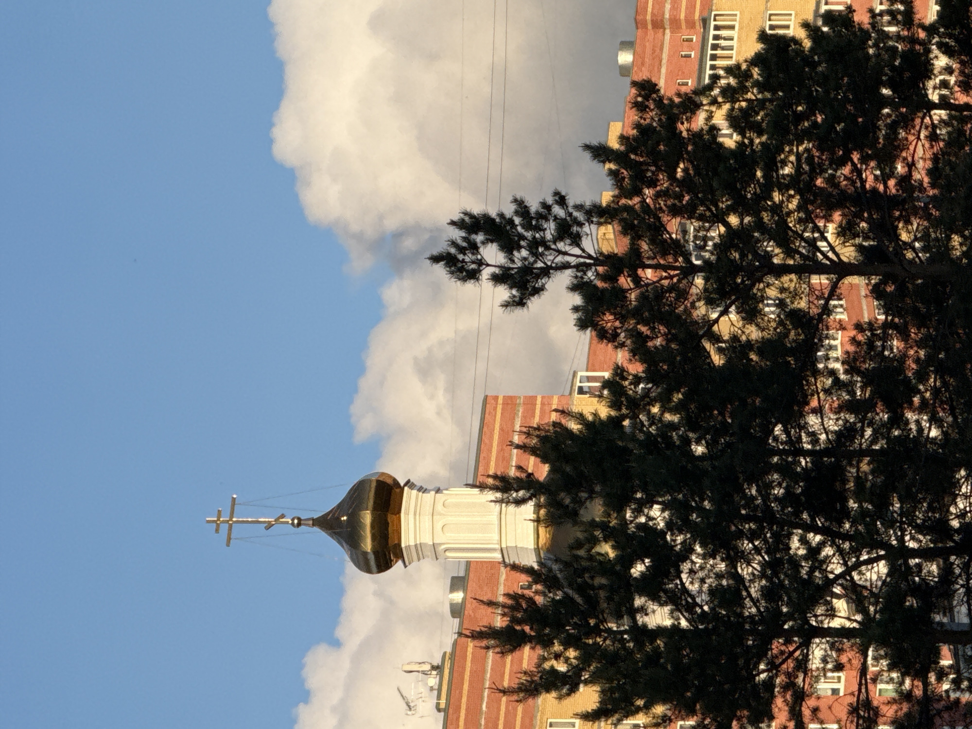 The image depicts a golden dome with a cross atop a white cylindrical structure, likely part of an Orthodox church, set against a backdrop of a partly cloudy blue sky. Overlapping the right side of the image is a silhouette of a tree with dense foliage. Adjacent to the church structure is a brick building with multiple windows. Electrical lines are visible stretching across the frame. Given the information provided, this scene is located in Tobolsk, Russia.