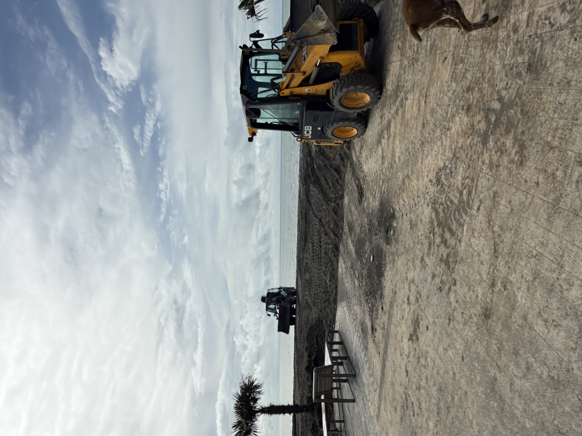 The image depicts a construction scene along the Black Sea coast in Batumi, Georgia. A yellow JCB skid-steer loader sits atop a constructed boardwalk or paved area adjacent to a black sand beach. The sea and sky form the backdrop, with scattered clouds in the sky. In the distance, another piece of construction equipment is visible on the beach. A palm tree is present on the left side of the frame, near a public bench. The light suggests it is daytime. The leg of a dog is visible at the upper right.