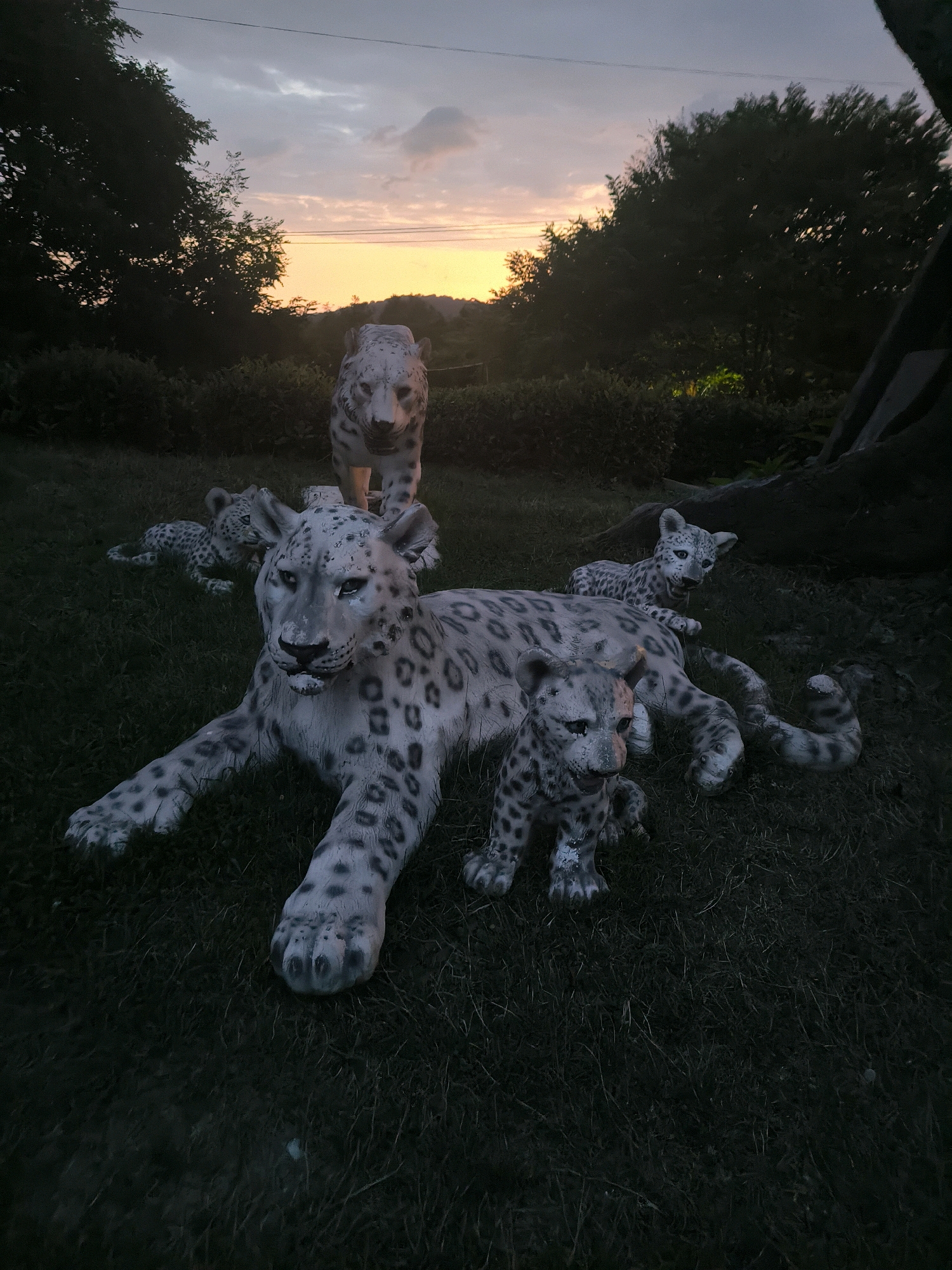 The image depicts a family of snow leopard statues on a grassy lawn. The statues are positioned in various poses, with a large adult snow leopard lying down in the foreground, its cubs scattered around it. In the background, another adult snow leopard stands. The setting appears to be a park or garden, with trees and bushes visible. The sky is overcast with hints of orange and yellow from a sunset. There are no people visible in the image. The location is identified as Kalinovoye ozero, Russia.