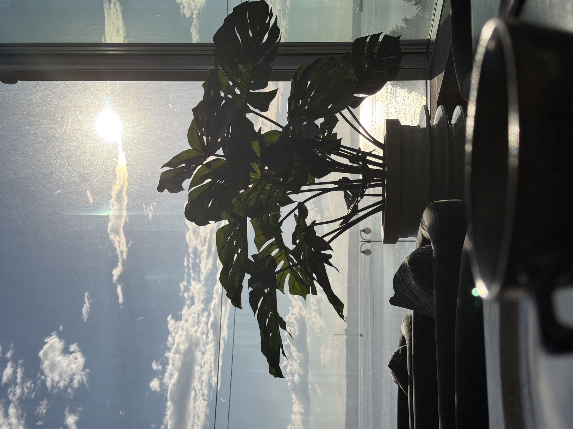 A backlit, interior shot shows a large potted Monstera plant placed on a windowsill overlooking a body of water. The sun is shining brightly through the window, creating lens flare. In the foreground, out of focus, is the rim of a dark-colored mug or cup. Behind the plant, the water reflects the sunlight, and distant land with some structures can be seen. The sky is blue with scattered white clouds. The scene appears to be in a cafe or restaurant with seating visible in the mid-ground, also out of focus. There are no people or animals present. The location is identified as Izhevsk, Russia, though no specific landmarks are visible to confirm this.