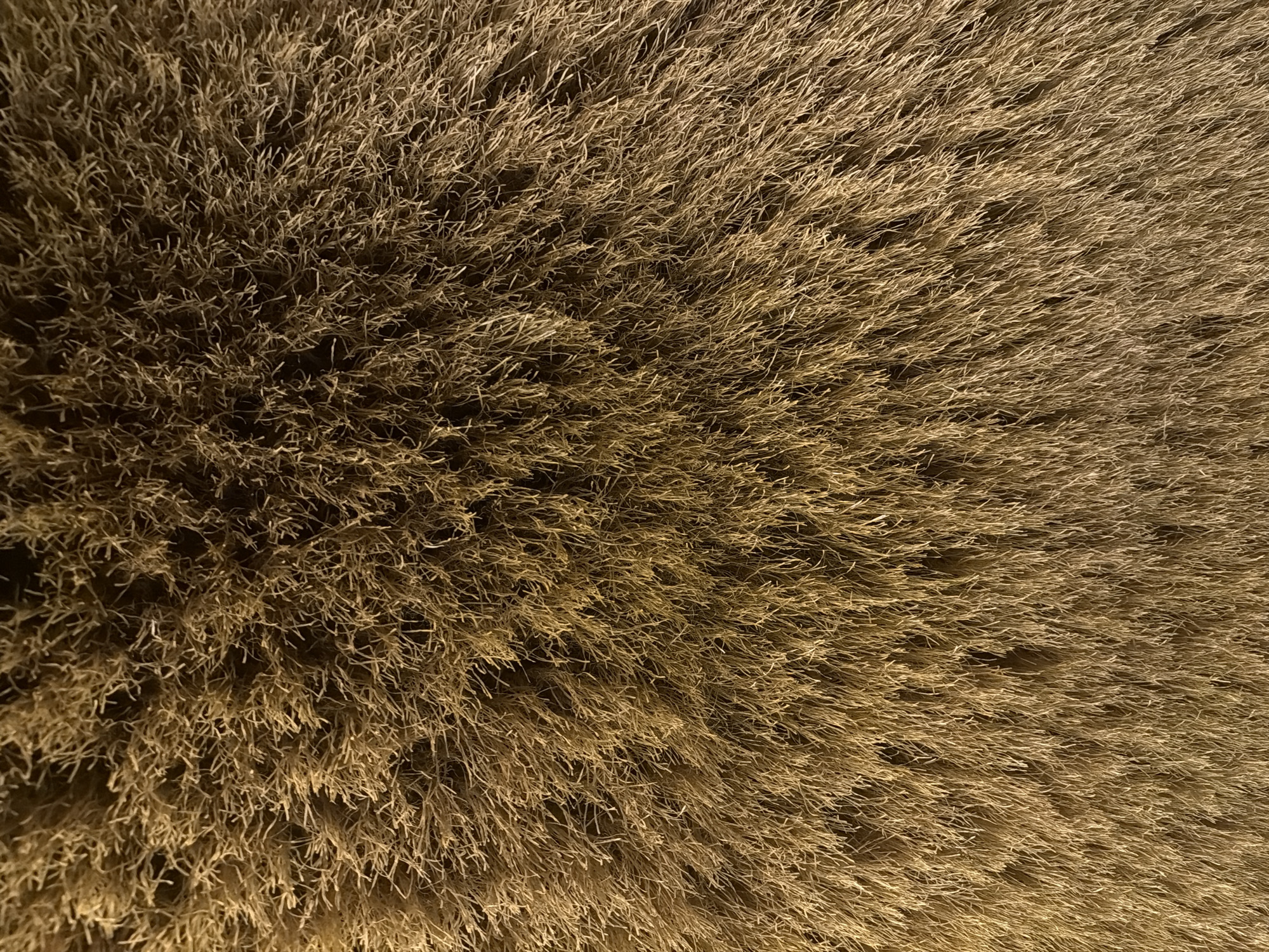 This is a close-up, top-down view of a textured, brown material. The texture appears to be made up of many fine, fibrous strands, possibly resembling hay, straw, or a shaggy carpet. The lighting creates shadows, giving the surface a sense of depth and unevenness. There are no discernable people, animals, or specific objects. The image provides no information about its location in Bac Nha Trang Ward, Vietnam, or any environmental context beyond the texture itself.