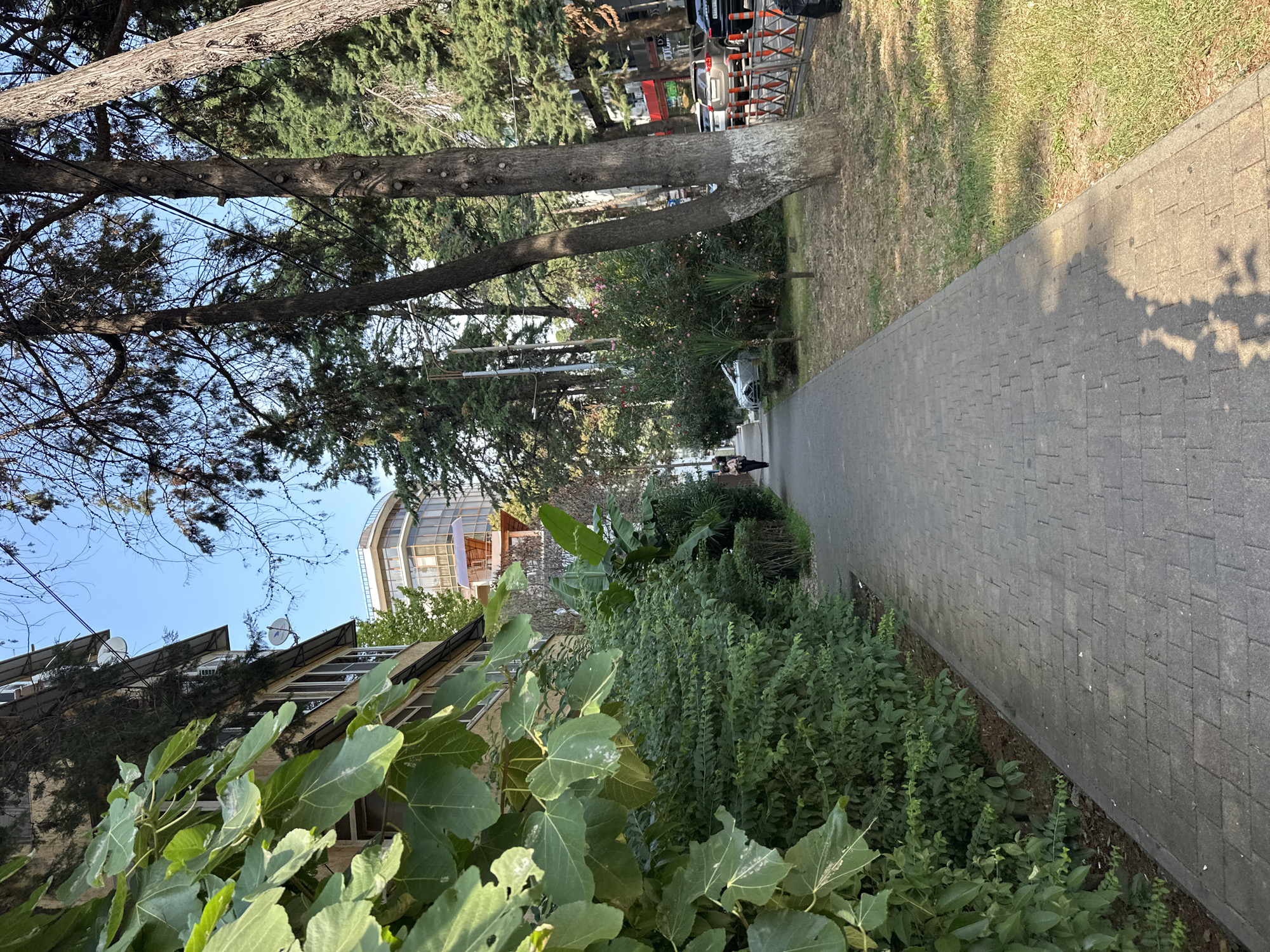 A person walks down a sidewalk in Sochi, Russia, on a sunny day. The sidewalk is paved with gray cobblestones and is lined with lush green bushes on one side and a grassy area with trees on the other. In the background, a multi-story building with large windows and balconies can be seen, along with other trees and buildings. The person, dressed in dark clothing, is walking away from the camera. The scene depicts a typical urban environment with elements of nature.