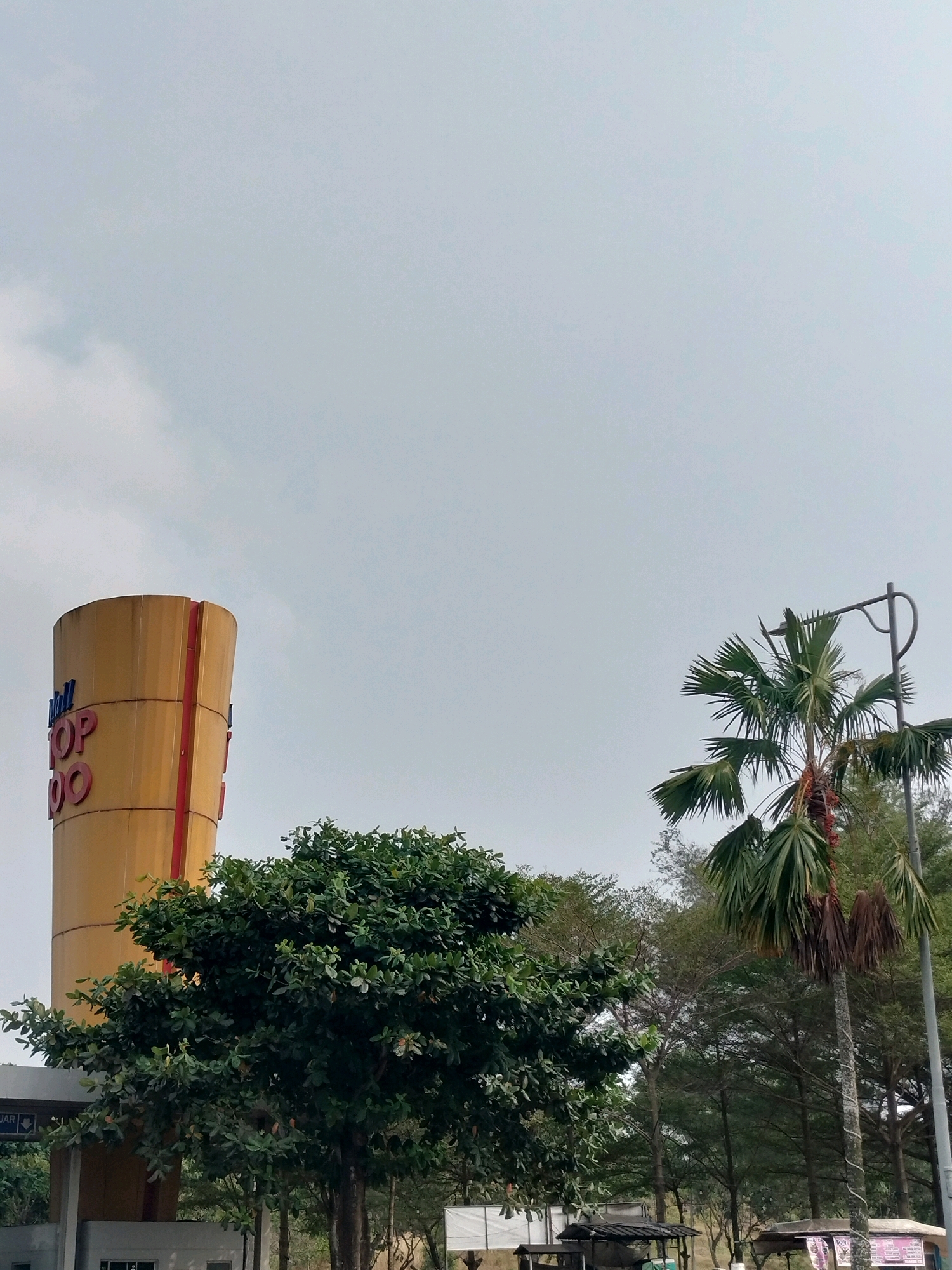 In Batam, Indonesia, on a cloudy day, a tall, yellow cylindrical tower with red accents stands prominently on the left side of the frame, bearing the words "TOLL" and "TOP 100" in blue and red lettering respectively. In the foreground, a lush green tree with dense foliage partially obscures the base of the tower and a portion of a building structure that appears to be an entrance or gate with signage. To the right, a palm tree with several fronds and a cluster of red fruits is visible, accompanied by a lamppost. The background consists of a line of various trees, suggesting a park or natural area. The overall scene captures a blend of urban infrastructure and natural elements under an overcast sky.