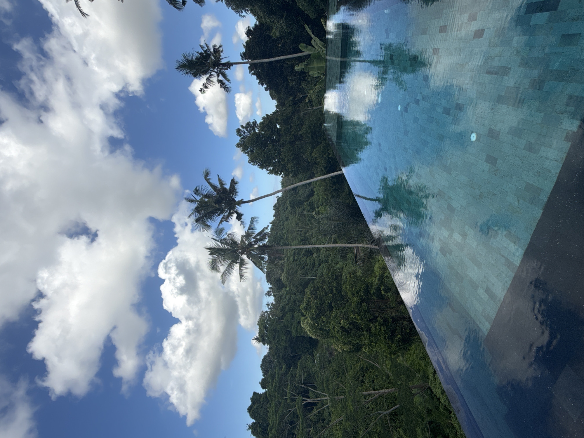 The image shows a view looking towards the sky. Fluffy white clouds are in the blue sky, and palm trees and a lush green forest are visible. Part of the image includes the surface of a pool reflecting the surrounding landscape and sky. The photo appears to be taken in the Ubud District of Indonesia.