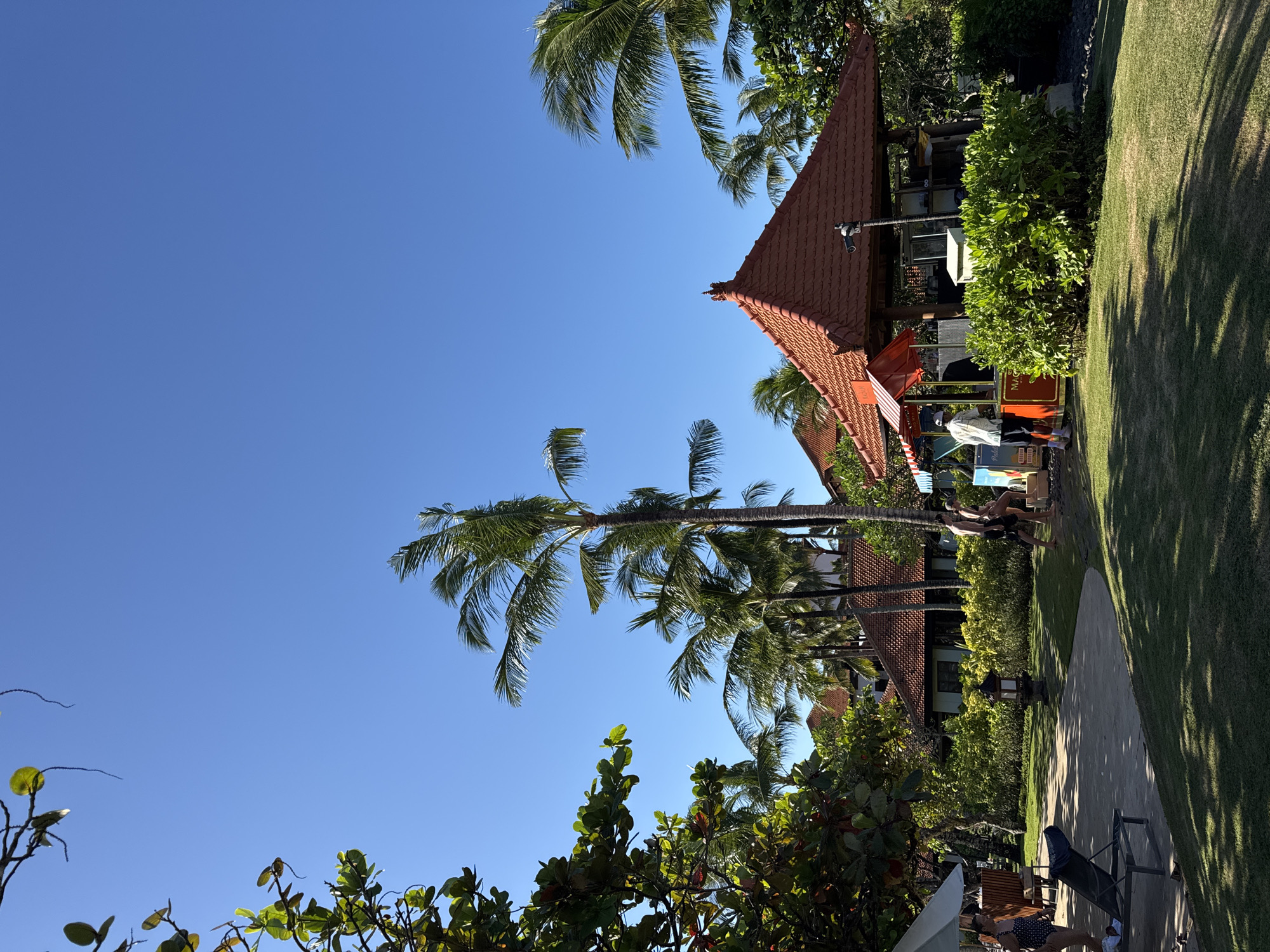 The image captures a sunny outdoor scene in Kuta Selatan, Indonesia, featuring a tropical resort-style environment. The sky is a clear blue. In the foreground, there are lush green trees with some leaves visible. A palm tree dominates the midground, with its fronds reaching upwards. Behind the palm tree, there are red-tiled roofs of resort buildings. There are people, appearing to be staff or guests, near one of the buildings. The scene also contains well-manicured grass and glimpses of outdoor furniture, suggesting a relaxed atmosphere.