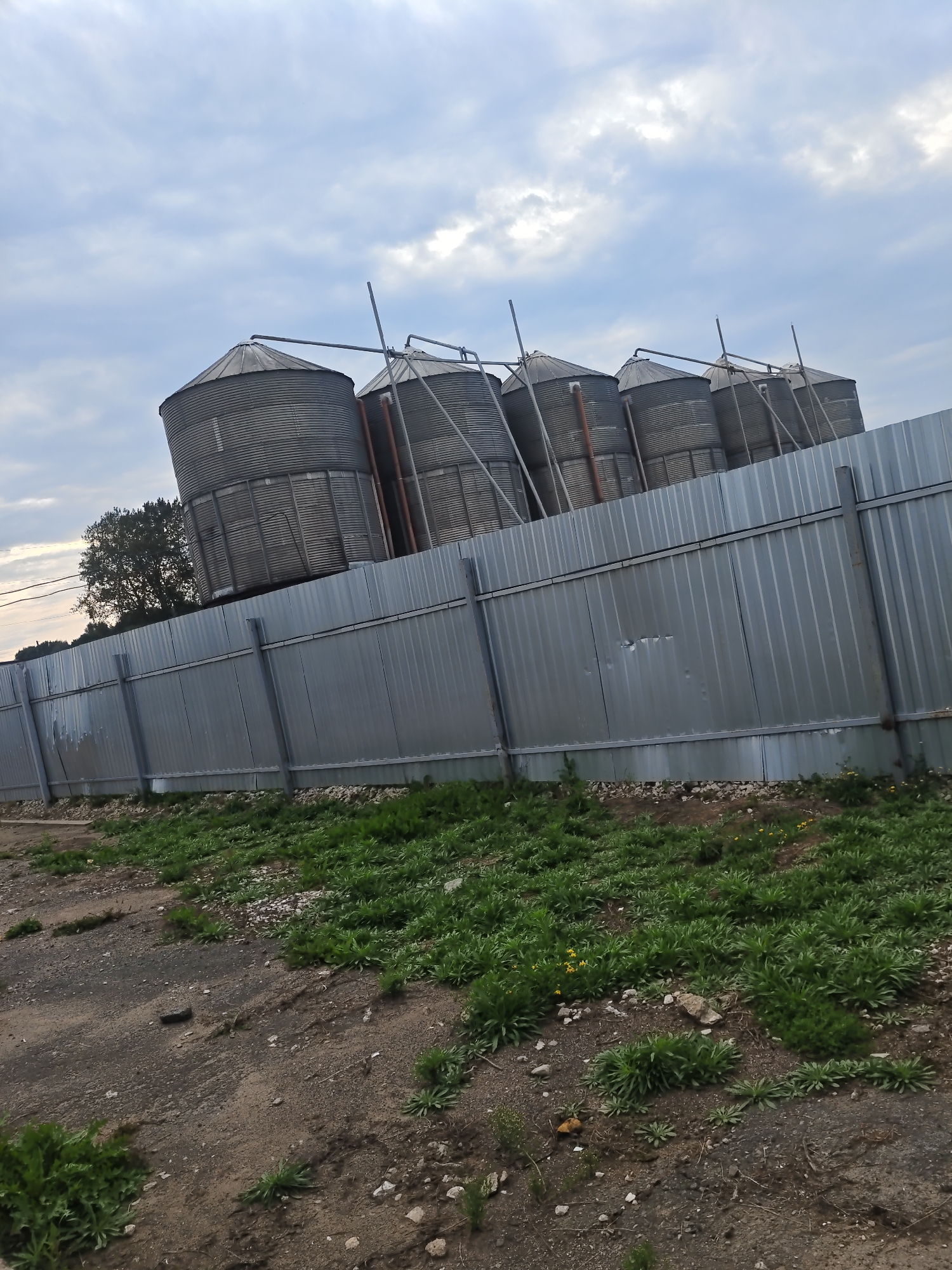 In the city of Platoshino, Russia, a row of five large, corrugated metal grain silos stands in the background. The silos are positioned on a slight incline, with the one on the far left appearing to lean more noticeably than the others. They are secured by metal rods and pipes. A tall, corrugated metal fence runs across the middle of the frame, separating the silos from the foreground. The fence is supported by metal posts. The ground in the foreground is a mixture of dirt, gravel, and sparse green vegetation. The sky above is overcast with diffused clouds.