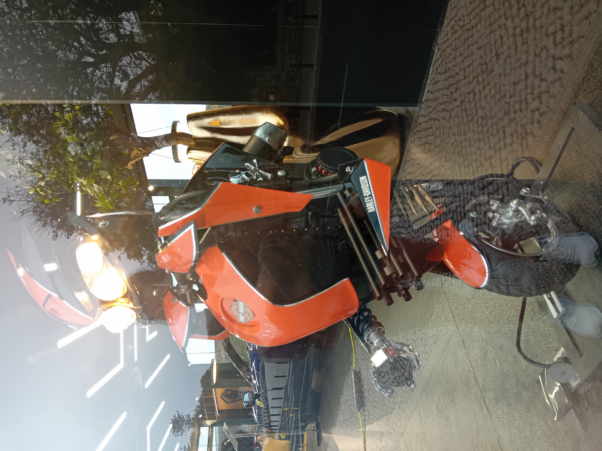 An orange and black Harley-Davidson motorcycle sits on display behind a glass window. The bike is situated indoors, likely within a dealership or showroom. Reflections on the glass show a tree, street lights, and a building, suggesting the showroom faces a street. The motorcycle's lights are on. The location is the city of Cascais, Portugal.