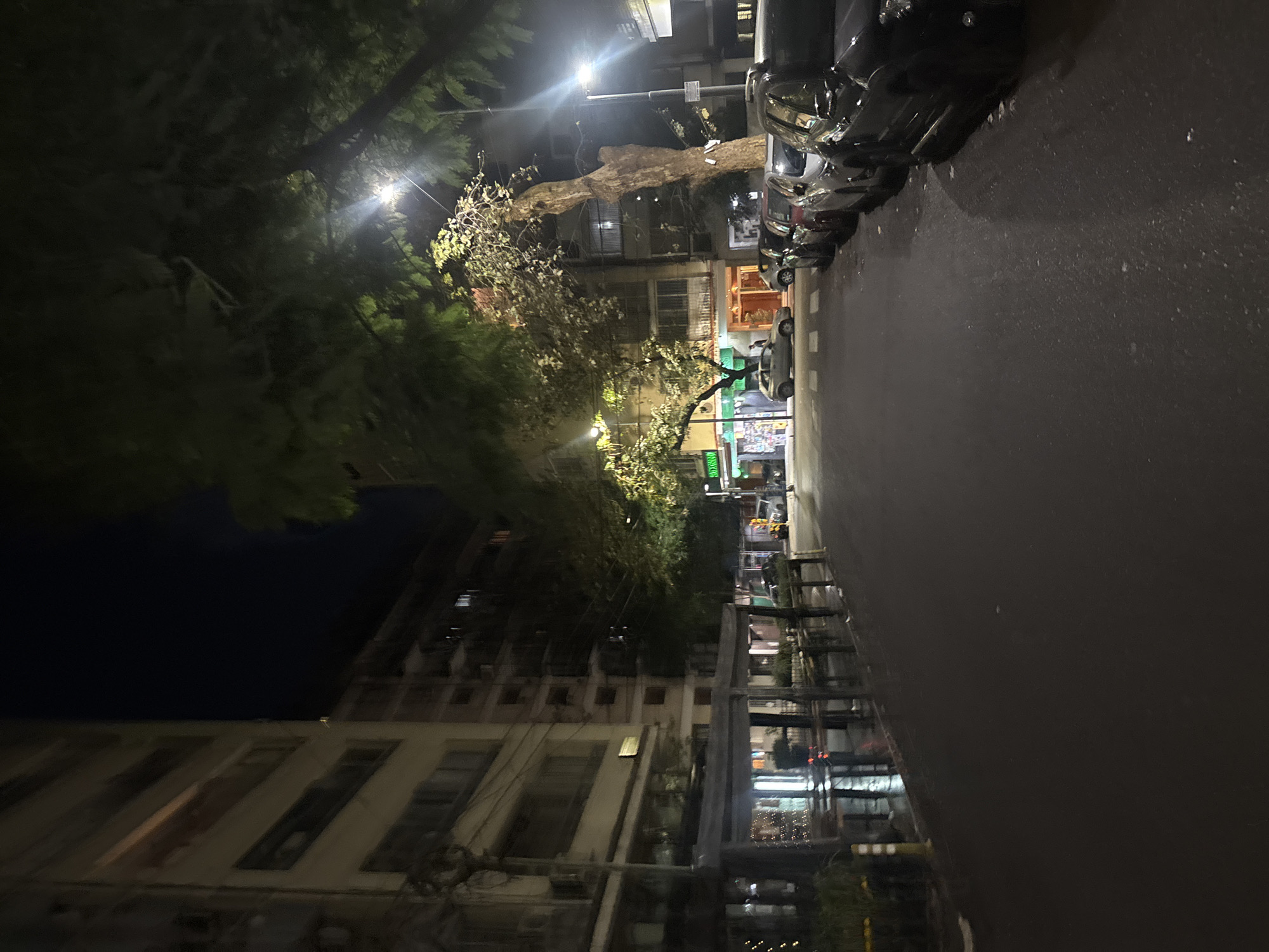 The image depicts a street scene at night in Buenos Aires, Argentina. The perspective is from street level looking down the road. On the right side of the frame, parked cars line the curb. The street surface is dark and appears wet, reflecting light. On the left, buildings rise several stories, with some windows illuminated. Trees with thick foliage are interspersed along the street, obscuring some of the buildings. Streetlights cast a glow, partially illuminating the scene. In the distance, storefronts are visible, with lighted signs and displays. There are no people readily visible in the scene.