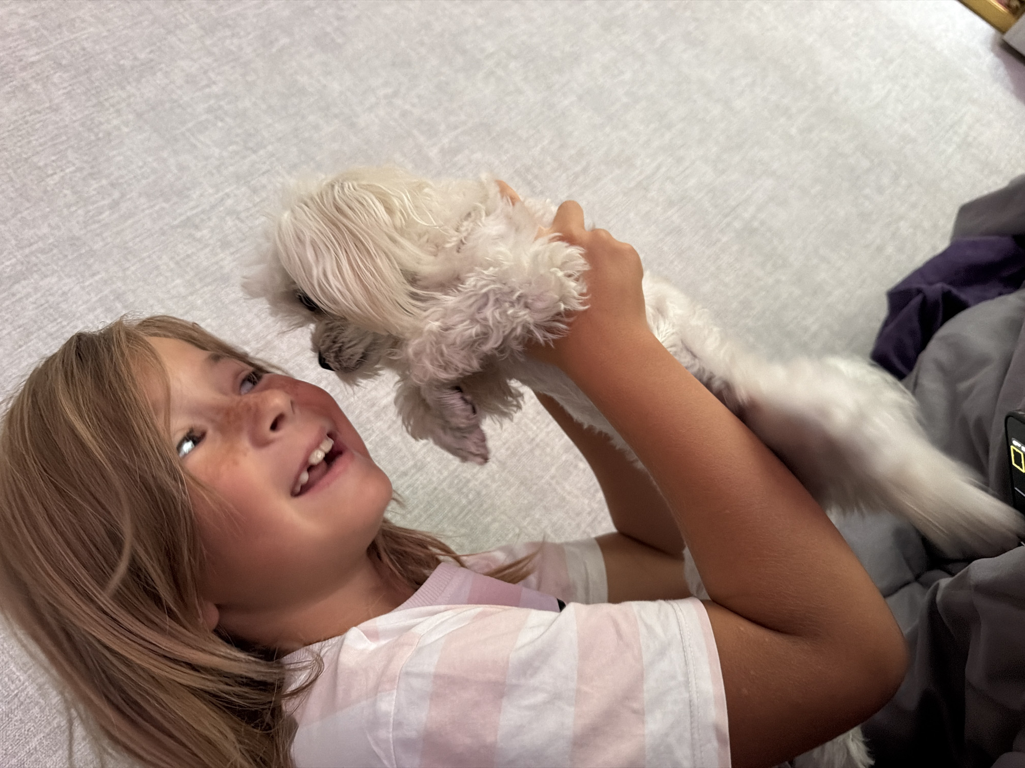 A young Caucasian girl with light brown hair and freckles is holding a small white dog. She is wearing a pink and white striped t-shirt. The girl is smiling and looking at the dog, which is nestled in her arms. The background appears to be a textured, light-colored surface. The scene takes place indoors, possibly in a bedroom, with bedding visible in the foreground. The lighting suggests it may be daytime. There is no indication of the location being Sevastopol, Ukraine.