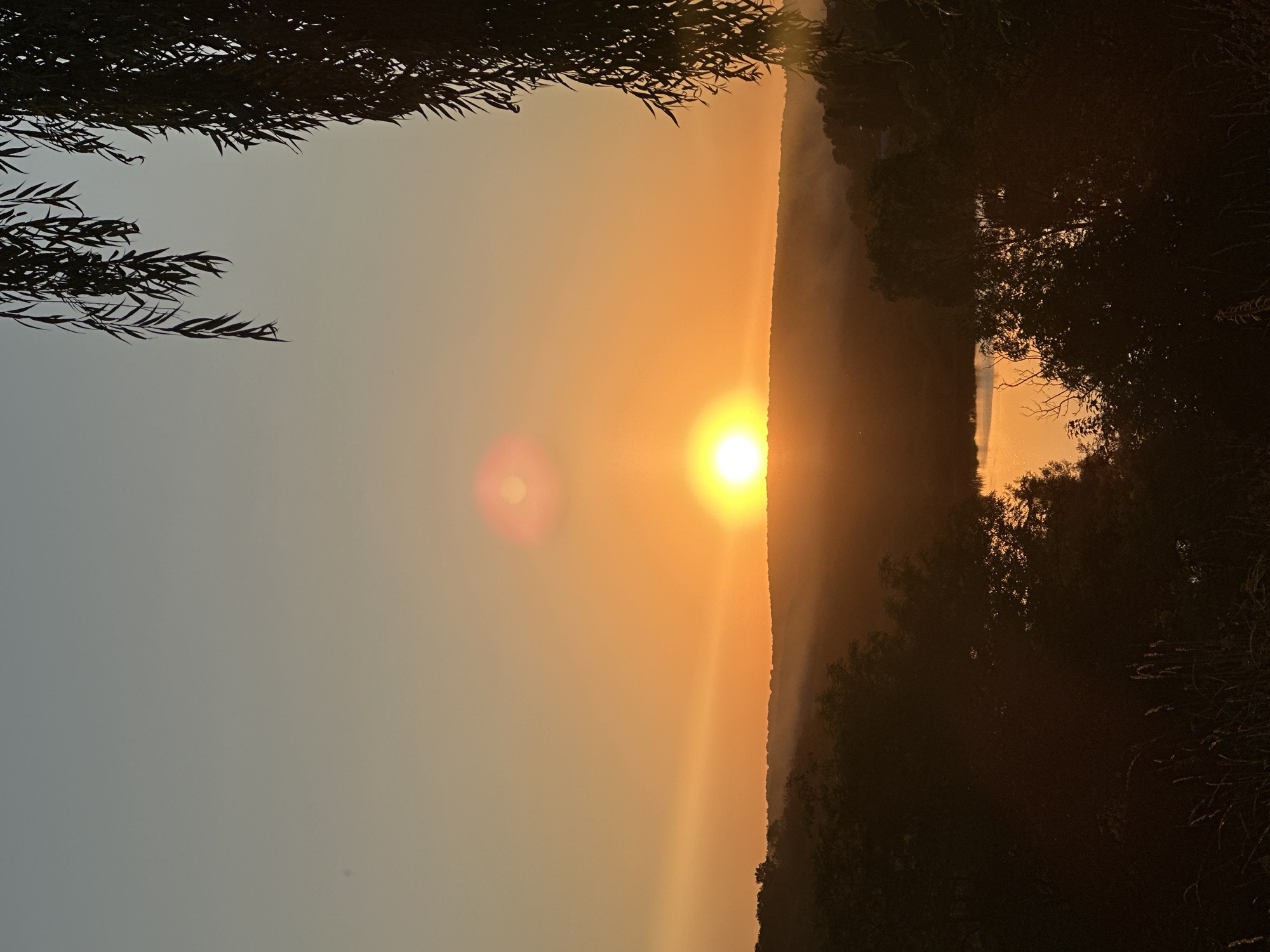 The image depicts a sunset over a hilly landscape in the city of Makiv, Ukraine. A body of water, likely a lake or river, reflects the warm orange hues of the setting sun. The foreground is dominated by the dark silhouettes of trees and tall grass, with the branches of a weeping willow tree obscuring the top right portion of the frame. The sky transitions from a pale blue at the top to a vibrant orange near the horizon, with a distinct sun low in the sky. There is a lens flare or atmospheric haze visible as a reddish-pink circular halo above and to the left of the sun. The hills in the background are also silhouetted, with a faint mist or fog settling in the valleys. No people are visible in the scene.