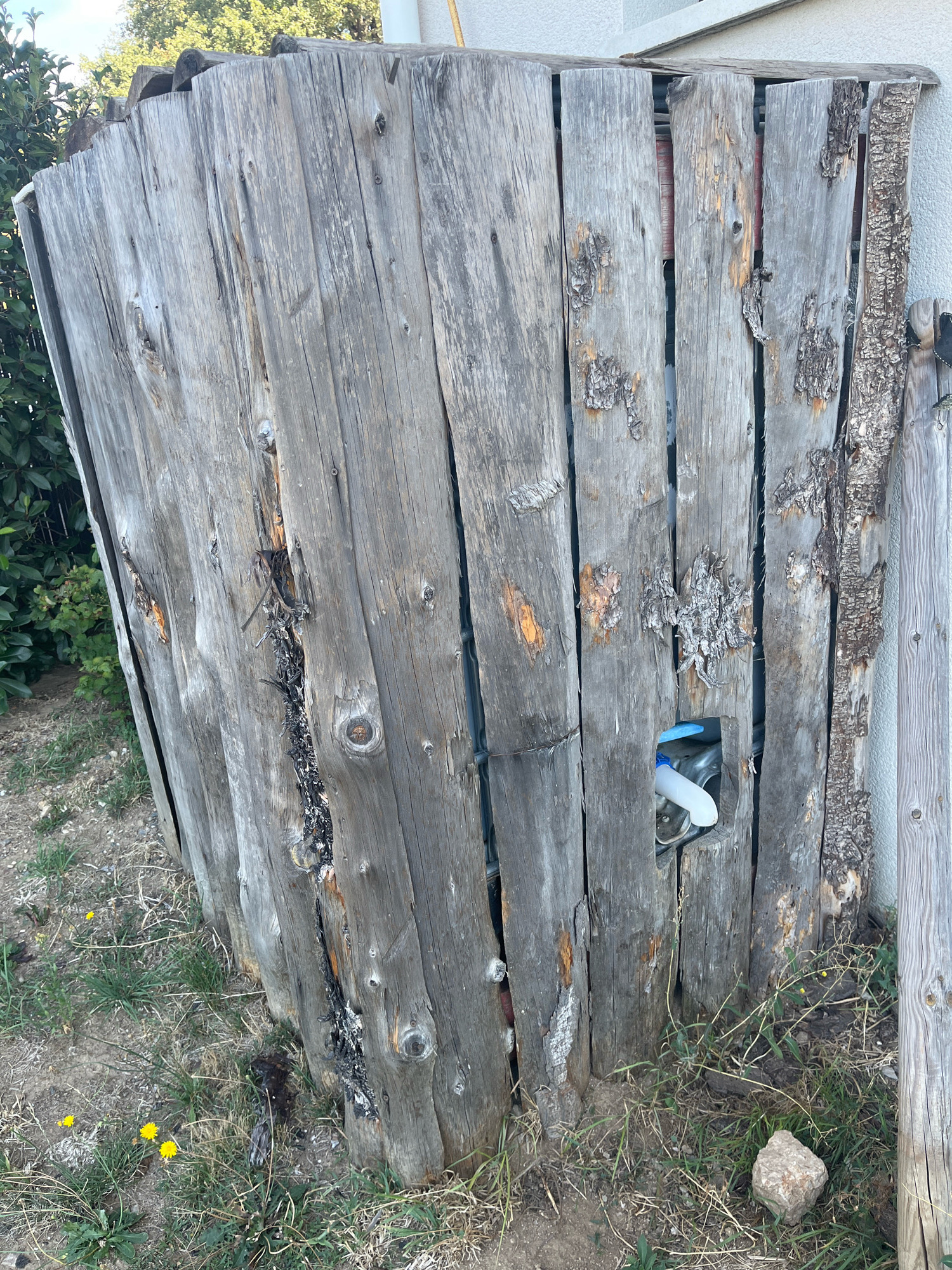 The image shows a weathered, rustic wooden structure located outdoors. The structure is constructed from vertical, uneven wooden planks that appear aged and greyed. Some planks have rough bark still attached. There is a visible gap in the wooden structure, revealing dark material and a white and blue object. The ground surrounding the structure is covered with dry grass, dirt, and a few small yellow wildflowers. A stone rests on the ground in the foreground. In the background, there are green bushes and trees, and the corner of a white building is visible. The lighting suggests it is daytime with sunlight casting shadows. The structure's condition suggests it is a utilitarian or storage area, possibly part of a garden or yard. The location is identified as Chambœuf, France.