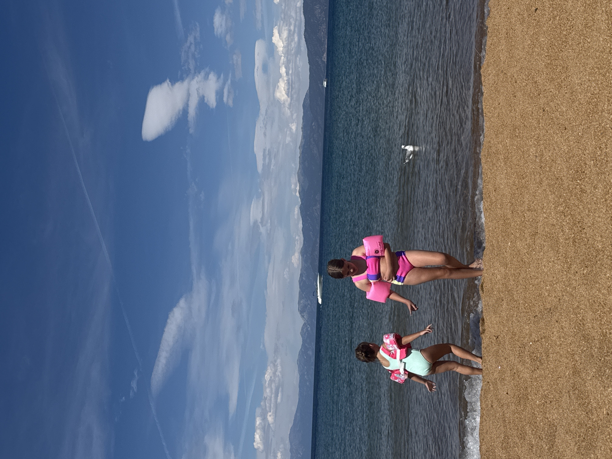 Two young girls are on a sandy beach next to a large body of water under a blue sky with scattered clouds. The girl on the left is wearing a light blue swimsuit and pink arm floaties, facing away from the camera towards the water. The girl on the right is wearing a pink and purple swimsuit and pink arm floaties, facing left and looking down. A seagull floats in the water to the right of the girls. In the distance, there are mountains and a boat on the water. The scene depicts a summer day at the beach.