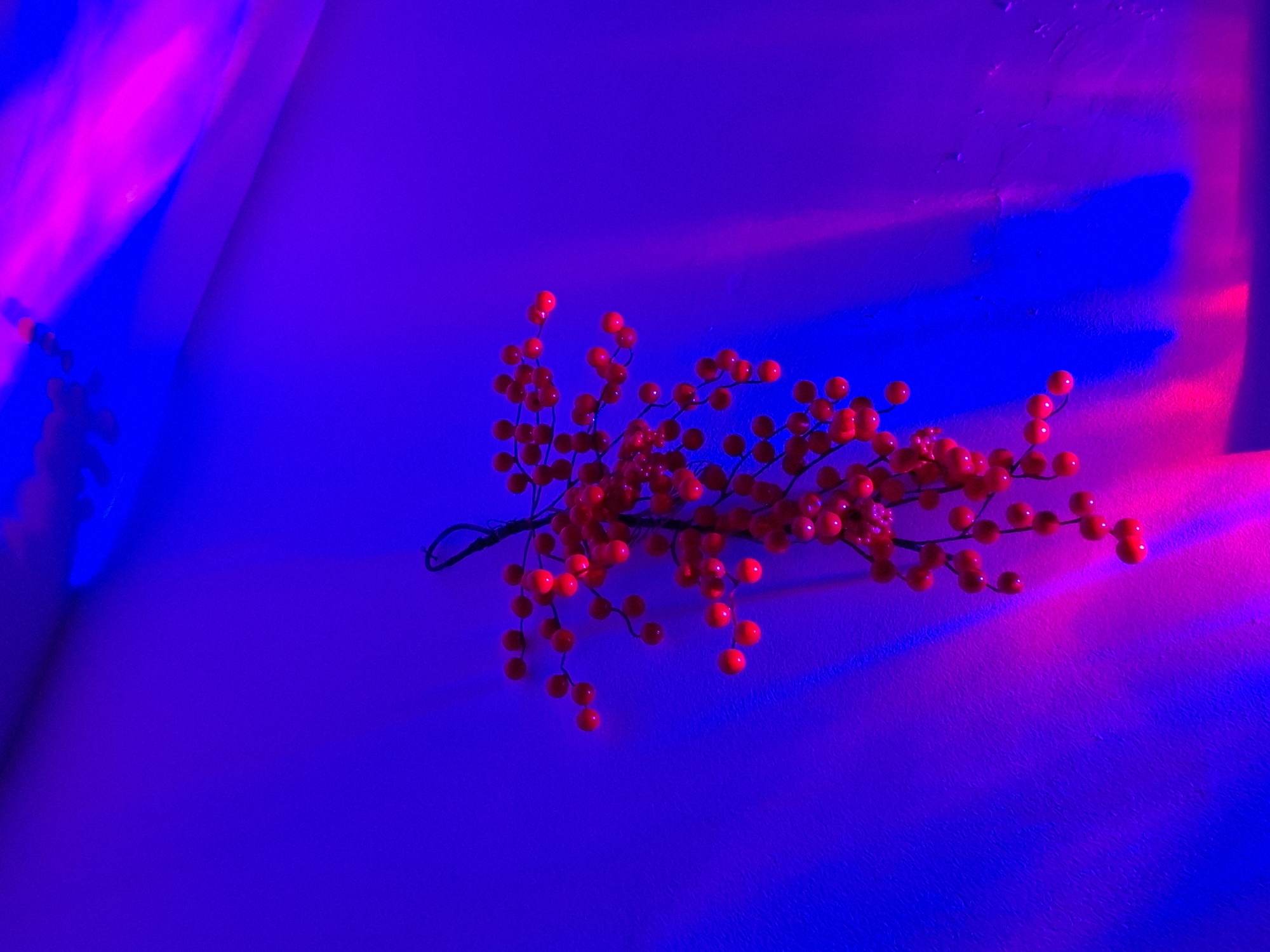 The image presents a vibrant still life centered on a branch of artificial red berries set against a dramatically lit background. The main subjects are numerous small, round, red berries, clustered on slender, dark-colored stems. These berries are positioned across the middle and slightly to the right of the frame, extending horizontally.
The scene appears to be an indoor setting, likely a plain wall or surface, which is intensely illuminated by artificial light sources. The background is dominated by a striking palette of blues and purples, with significant areas of bright magenta or hot pink. Deep royal blue and electric blue tones are prominent, especially on the left and right sides and along the bottom, while streaks and patches of vivid magenta are visible in the upper left, upper right, and fading into the blue. The blend of these colors creates a rich, glowing purple across much of the surface.
Notable details include the stark visual contrast between the warm, saturated red of the berries and the cool, electric hues of the background, creating a modern and almost surreal aesthetic. The strong lighting highlights a subtle, uneven texture on the background surface in various sections. No activity or event is taking place, and no people are visible. The artificial lighting renders the time of day and external weather indeterminate. There is no visible text in the image.