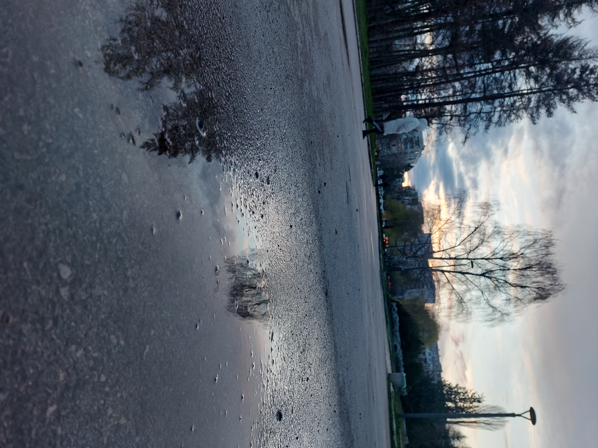 The image captures a wet asphalt surface, likely a road or sidewalk, reflecting the sky and surrounding environment. The reflection shows a sunset or sunrise with clouds, trees, and buildings. In the distance, blurred buildings and trees are visible. The foreground has visible raindrops on the wet surface. The location is an urban environment with visible trees and buildings but the exact location cannot be determined.