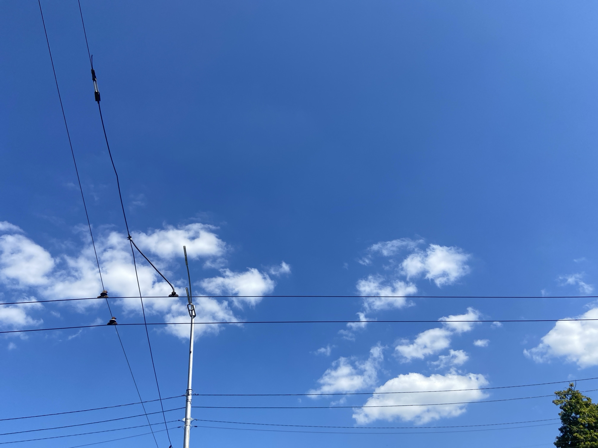 A wide-angle, low-angle shot captures a bright, clear blue sky with scattered white clouds. Several black electrical wires are visible, running horizontally and diagonally across the frame. One wire in the upper left shows a visible insulator and connection point. A tall, silver pole with a bracket is positioned on the right side of the image, supporting some of the wires. Two dark, mushroom-shaped insulators are affixed to a horizontal wire in the center left. In the bottom right corner, the top of a green tree is visible. The scene is devoid of people and any discernible activity. The environment appears to be outdoors, likely in an urban or suburban setting.
