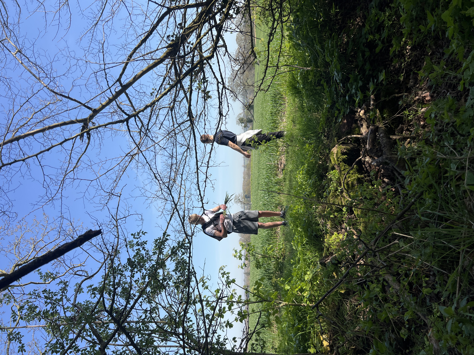 The image depicts a landscape scene in East Suffolk, United Kingdom. Two individuals are present. One person, wearing a white shirt and grey shorts, stands closer to the viewer, holding a bunch of green plants. Another person, wearing a black shirt and darker pants, is positioned further back, slightly obscured by the vegetation. The scene is framed by trees, with bare branches visible against a blue sky in the upper portion of the image. Lush green grass and foliage cover the ground, with denser patches suggesting a wooded area to the right. A field stretches into the distance.