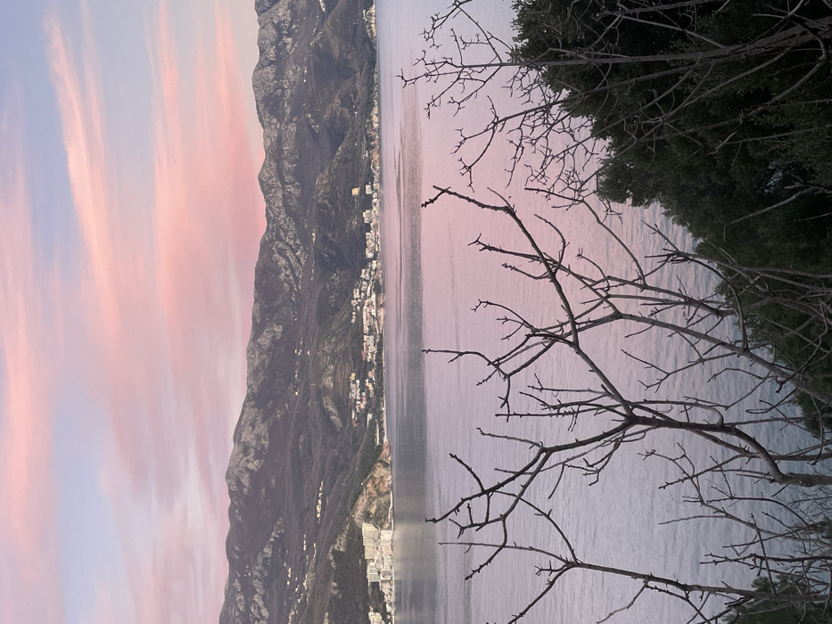 The image captures a serene coastal landscape at either sunrise or sunset, viewed from a slightly elevated vantage point. The scene is dominated by a majestic mountain range on the left, a tranquil body of water in the center, and a soft, colorful sky above.
The sky, occupying the upper portion of the image, displays a beautiful gradient of light pinks blending into soft blues and hints of purple. Streaks of elongated, wispy clouds (likely cirrus or altocumulus) are illuminated with a delicate pink hue, adding depth and texture to the vast expanse.
Below the sky, a large, dark mountain range stretches horizontally across the middle ground. The mountains appear rugged and rocky, with some visible contours and ridges, suggesting a significant elevation. Along the base of these mountains, bordering the water, a town or settlement is visible. Numerous buildings, predominantly light-colored, dot the coastline, indicating a populated area nestled between the natural elements.
The body of water, likely a sea or a large lake, occupies the central and lower-middle part of the image. It reflects the gentle colors of the sky, appearing in muted shades of pinkish-purple and blue, giving it a calm and reflective quality. The surface shows very subtle ripples, suggesting a placid environment.
In the immediate foreground, on the right side, a network of bare, dark tree branches frames the view. These deciduous branches, devoid of leaves, create an intricate silhouette against the softer background of the water and sky. Behind these branches, denser dark green foliage is visible, likely from another tree or bush, providing a natural border to the right side of the composition.
The overall lighting is soft and diffuse, characteristic of golden hour, strongly suggesting either early morning (sunrise) or late evening (sunset). There is no visible text in the image.