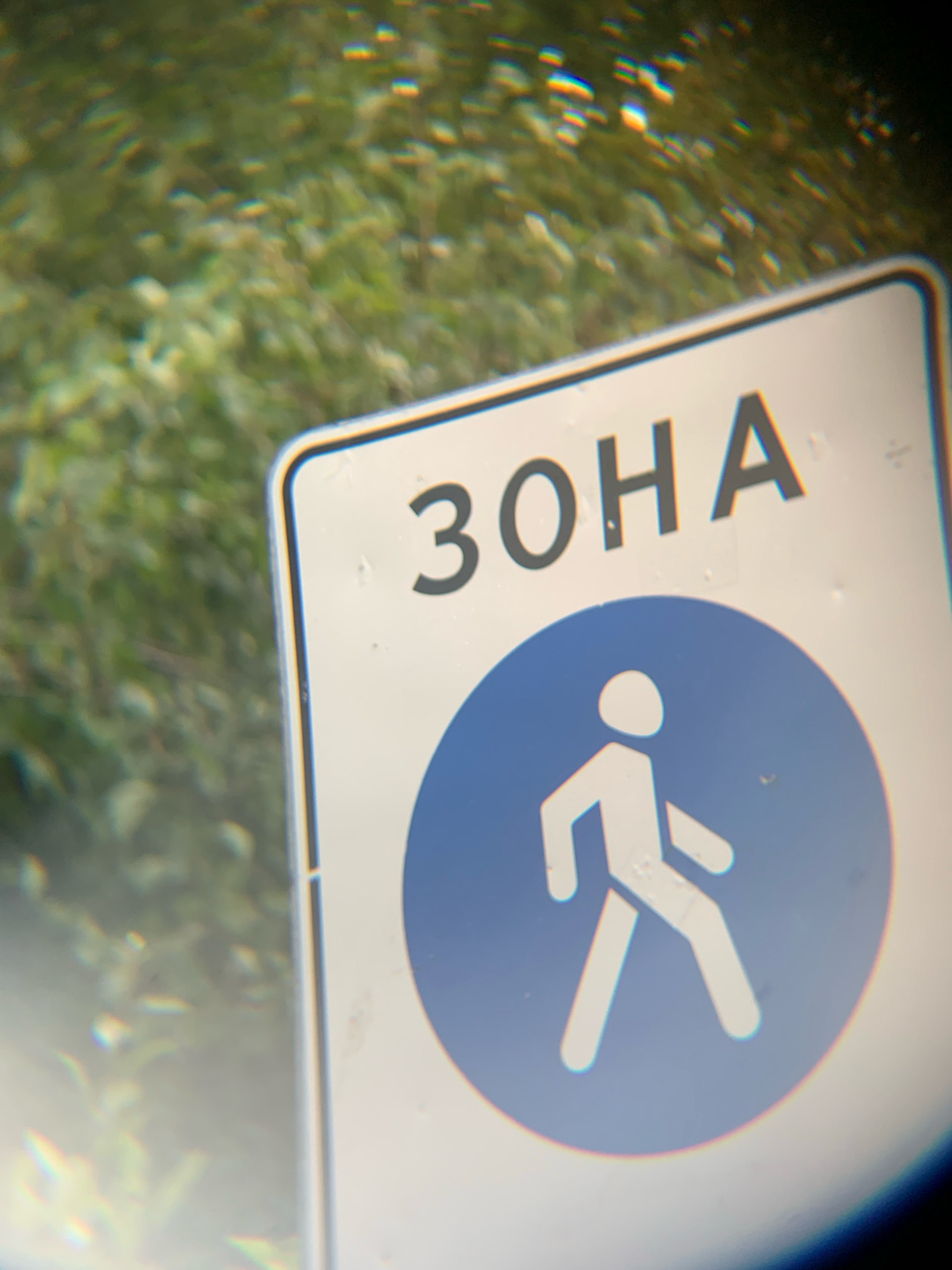 The image shows a close-up of a road sign in Vas'kovo, Russia. The sign is white with a blue circle containing a white silhouette of a person walking. Above the circle, the Russian word "ЗОНА" (ZONA) is written in black capital letters. The sign is slightly tilted and appears to be positioned outdoors, with blurred green foliage visible in the background. The lighting suggests it is daytime.