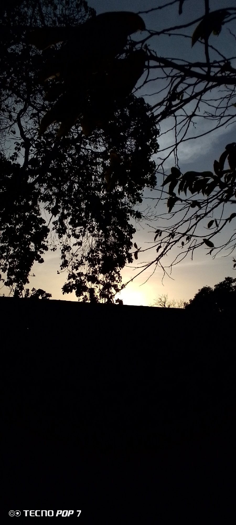 The image appears to be taken at sunset or sunrise in Altagracia, Venezuela. The scene is dominated by the silhouettes of trees and vegetation against a sky with soft, fading light. A dark, undefined landmass occupies the lower portion of the frame, obscuring details of the immediate foreground. The upper portion of the image contains branches with leaves, and the sky is a gradient of color. The lower left corner includes a logo indicating "Tecno Pop 7", likely denoting the camera model used to capture the image.