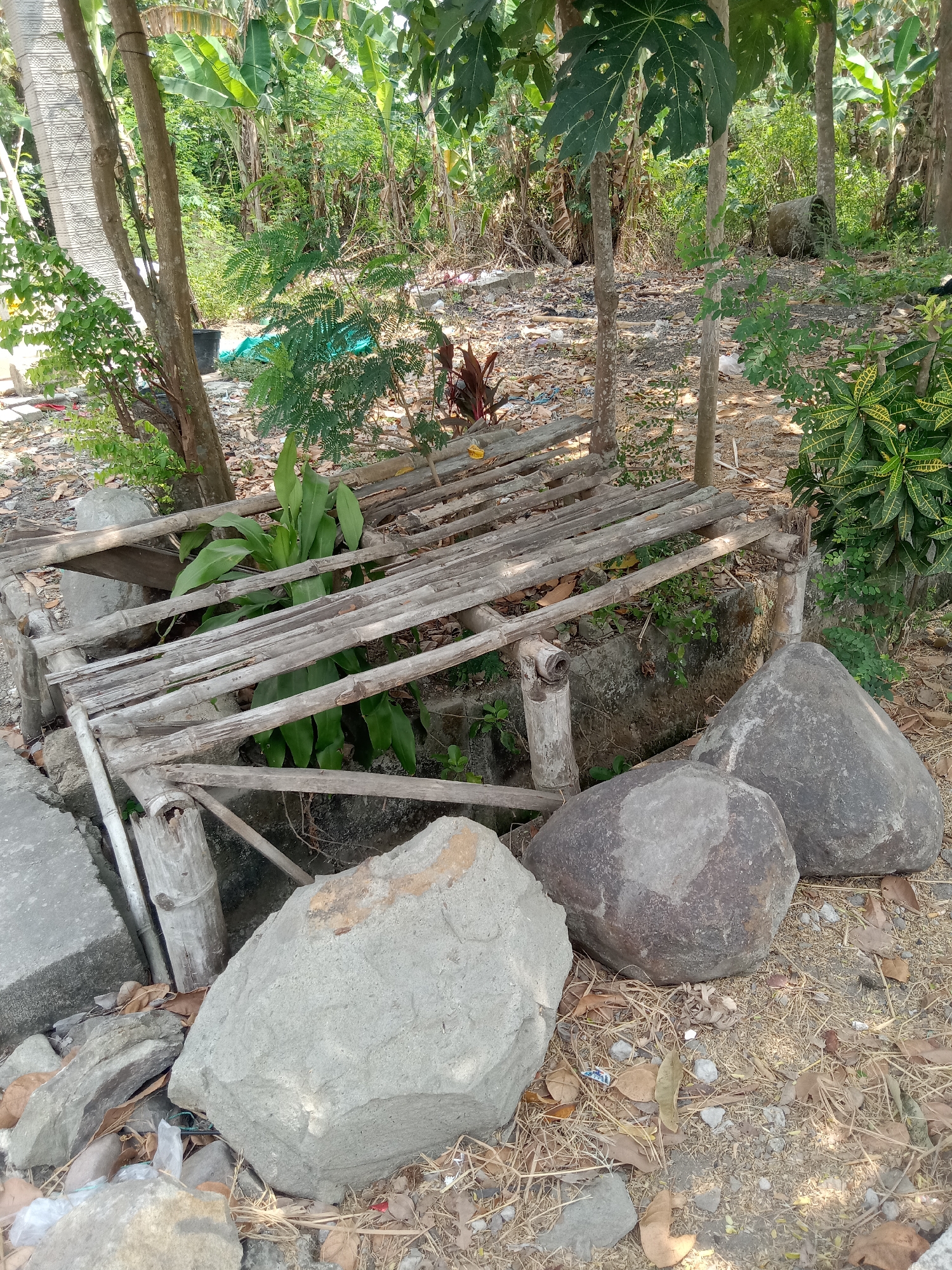 The image depicts an outdoor scene in what appears to be a semi-rural or overgrown area, potentially within the city of Mayangkawis, Indonesia, judging by the vegetation and building materials. In the foreground, several large rocks are present on the ground, which is covered with dry leaves, straw, and some debris, including plastic. To the left, there are concrete slabs. A rustic, possibly homemade, structure made of bamboo and wood is visible, with a green plant growing through it. The background is filled with lush green vegetation, including trees and banana plants, suggesting a tropical or subtropical environment. The lighting indicates it is daytime, with sunlight filtering through the foliage. There are no people or animals visible in the image.