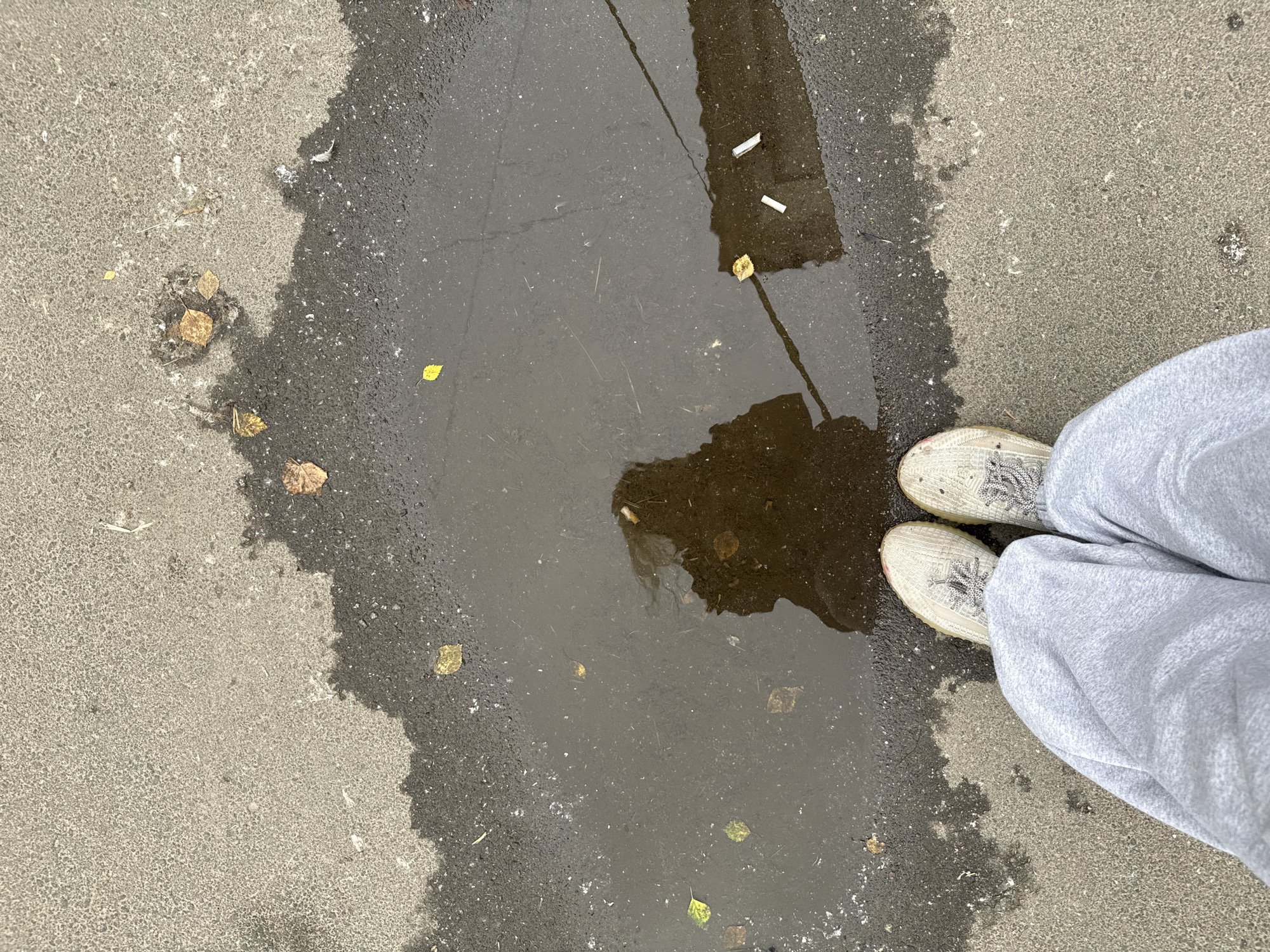 The image shows a ground-level view of a person's feet, clad in light-colored sneakers and gray sweatpants, standing on a wet asphalt surface in Saint Petersburg, Russia. A puddle of water reflects the shadow of the person and the surrounding environment, which includes scattered autumn leaves and discarded cigarette butts. The asphalt is uneven and appears to be part of a street or sidewalk. The weather seems overcast, contributing to the wet conditions.