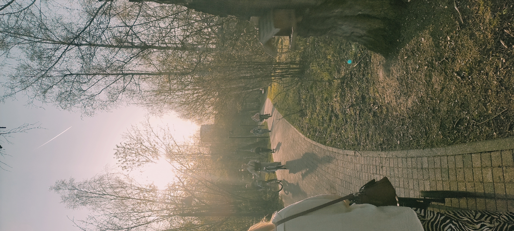 The image captures a scene along a park pathway in Grebnevo, Russia. The pathway is paved with rectangular stones, curving through a park setting. Several individuals are present, some on bicycles, moving along the path. The time of day appears to be late afternoon, with the sun low in the sky, creating a hazy, golden light. Leafless trees line the path, their branches reaching towards the sky. A contrail is visible in the sky above the trees. The right side of the path is bordered by a grassy area. The perspective is from a low angle, possibly from someone sitting or reclining. Part of a person wearing a white top and a zebra-striped garment is visible in the foreground.