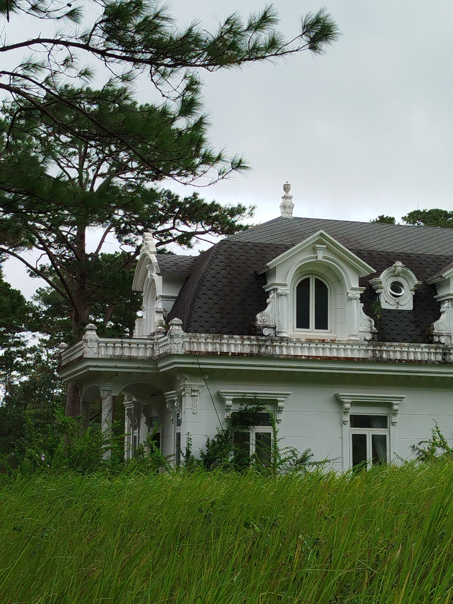 The image shows an abandoned white mansion with ornate architectural details, including arched windows, decorative moldings, and a mansard roof. The mansion is partially obscured by lush green grass in the foreground and the branches of a large pine tree in the background. The sky is overcast and a somber grey. The scene appears to be located in Da Lat, Vietnam, a city known for its French colonial architecture and pine forests. The overall impression is one of faded grandeur and melancholy beauty.