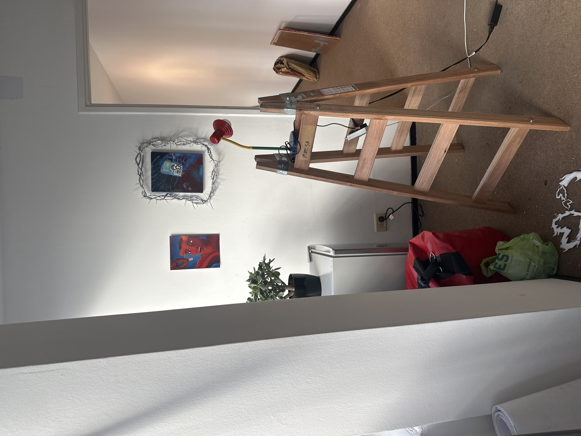 The image depicts an interior space. Two paintings hang on a white wall. The upper painting features a thorny frame and a red lamp extending from the wall. Below it is a small painting of a face. A plant in a black pot sits near a white refrigerator. A wooden ladder leans against the wall. On the floor, there is a red bag, a green shopping bag with "ES" printed on it, and some white paper scraps. There are no people visible. No location information is available.