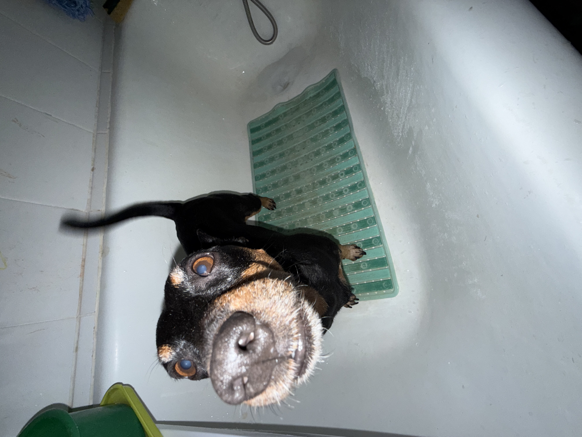 AI unable to describe this media