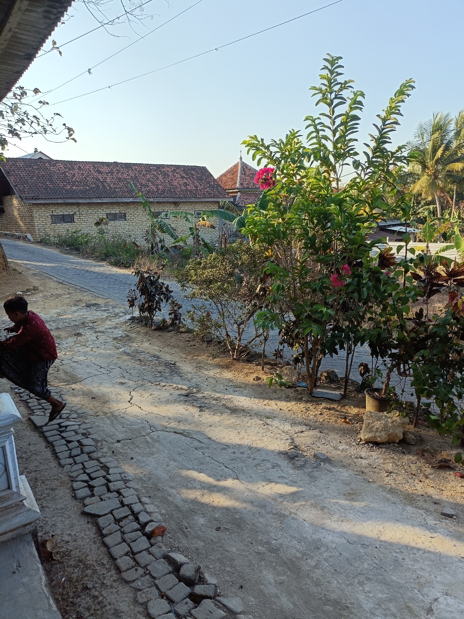 In the city of Pamaroh, Indonesia, a young person, possibly a child or adolescent, is crouched on the ground near a cracked concrete path lined with small, irregular cobblestones. The individual is wearing a dark patterned sarong and a red long-sleeved shirt, and appears to be interacting with a dark, flexible material, possibly cloth or a bag. To the right of the path, a variety of plants and trees are visible, including a larger tree with vibrant pink flowers. In the background, traditional Indonesian houses with red tiled roofs are situated along a paved road. The environment suggests a rural or semi-rural setting with clear, sunny weather. The scene is captured during daylight hours, with shadows cast by the vegetation and structures on the ground.