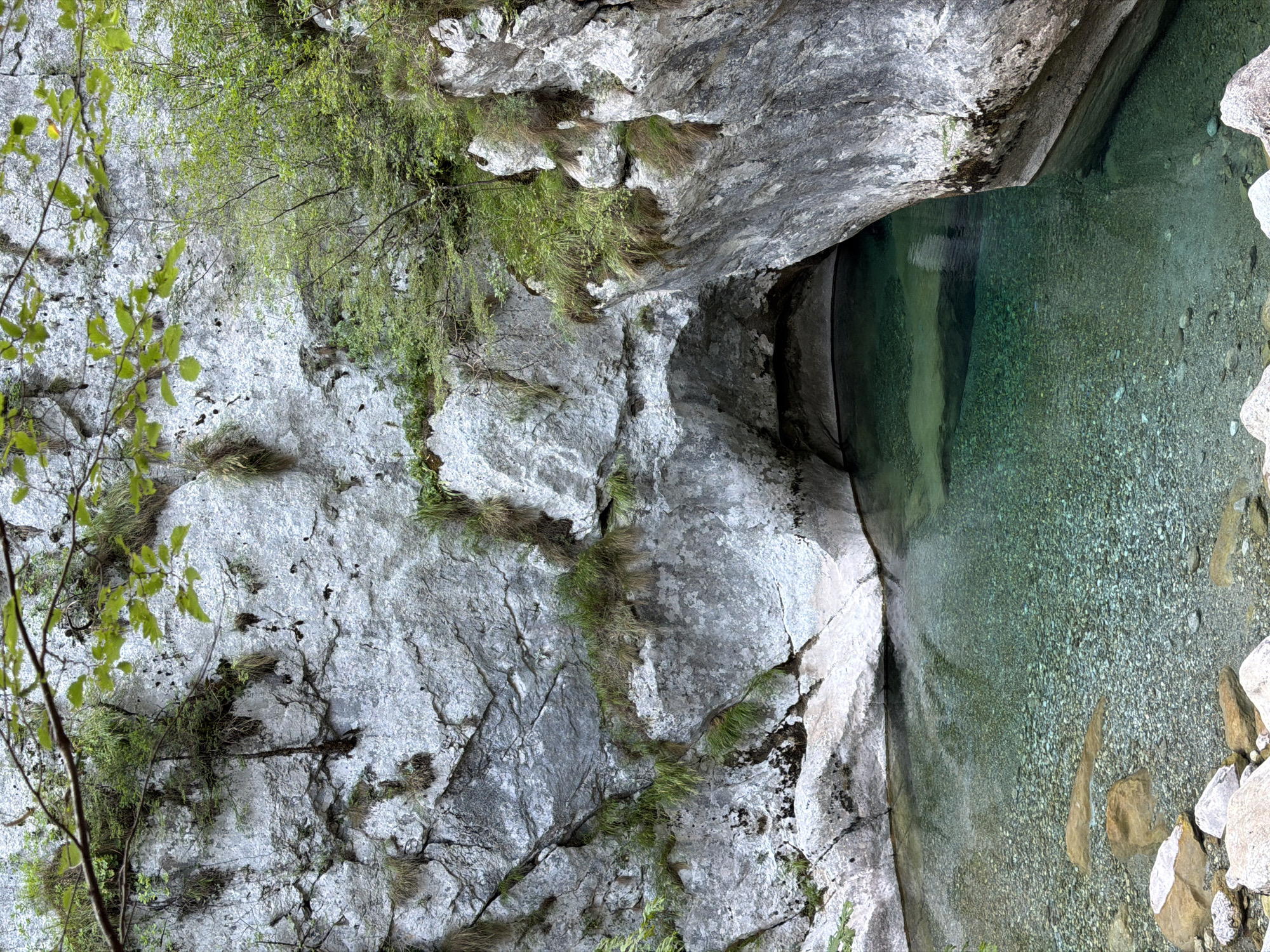 The image depicts a serene natural scene likely located in Lazba, Montenegro, characterized by a clear, shallow body of turquoise water against a backdrop of imposing grey rock formations. The water's transparency allows a view of the pebble-strewn riverbed beneath. The rocky cliffs, textured with fissures and patches of verdant moss and grass, create an enclosed, almost cave-like opening that the water flows into. Overhanging branches with green foliage frame the top of the image, adding a touch of lushness to the rugged environment. The scene appears undisturbed and uninhabited, focusing solely on the geological and aquatic elements of the landscape.